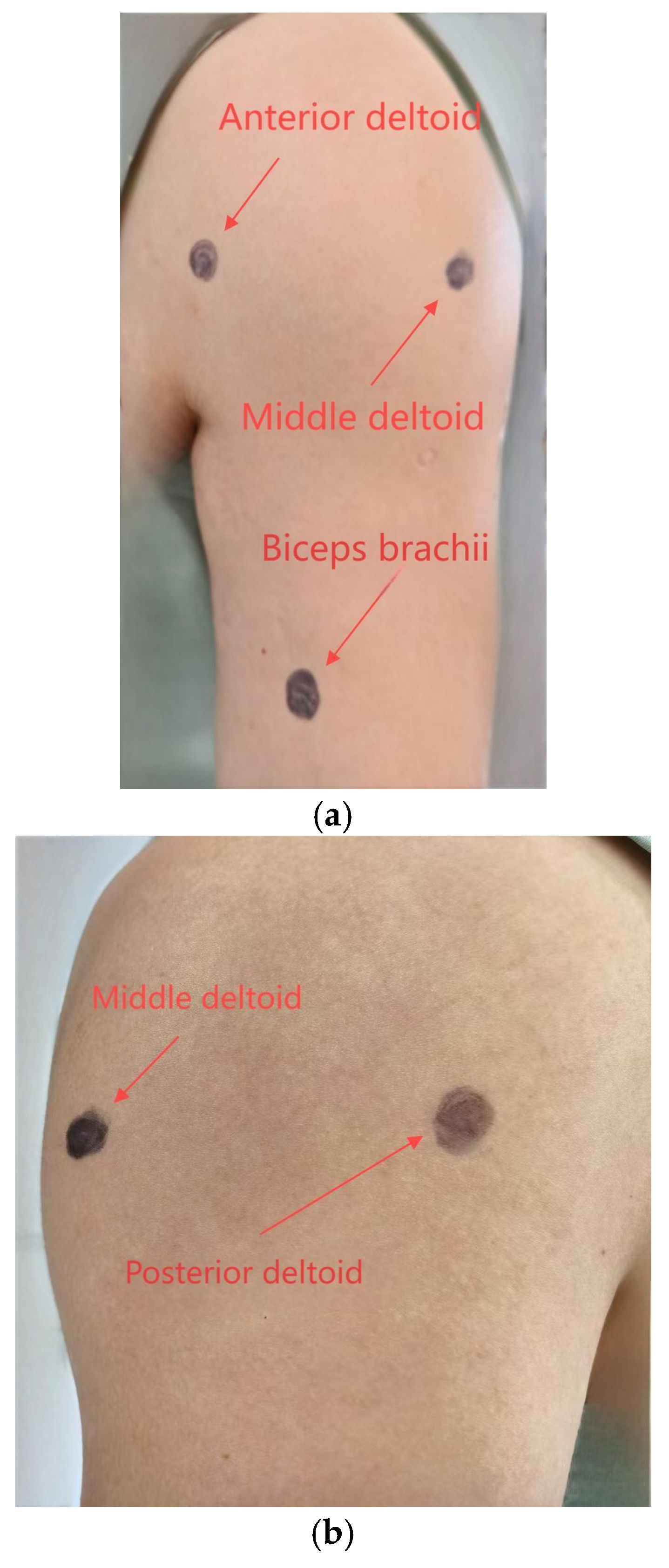 Applsci 15 06454 g009