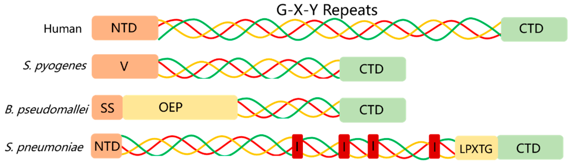 Applsci 15 06472 g002