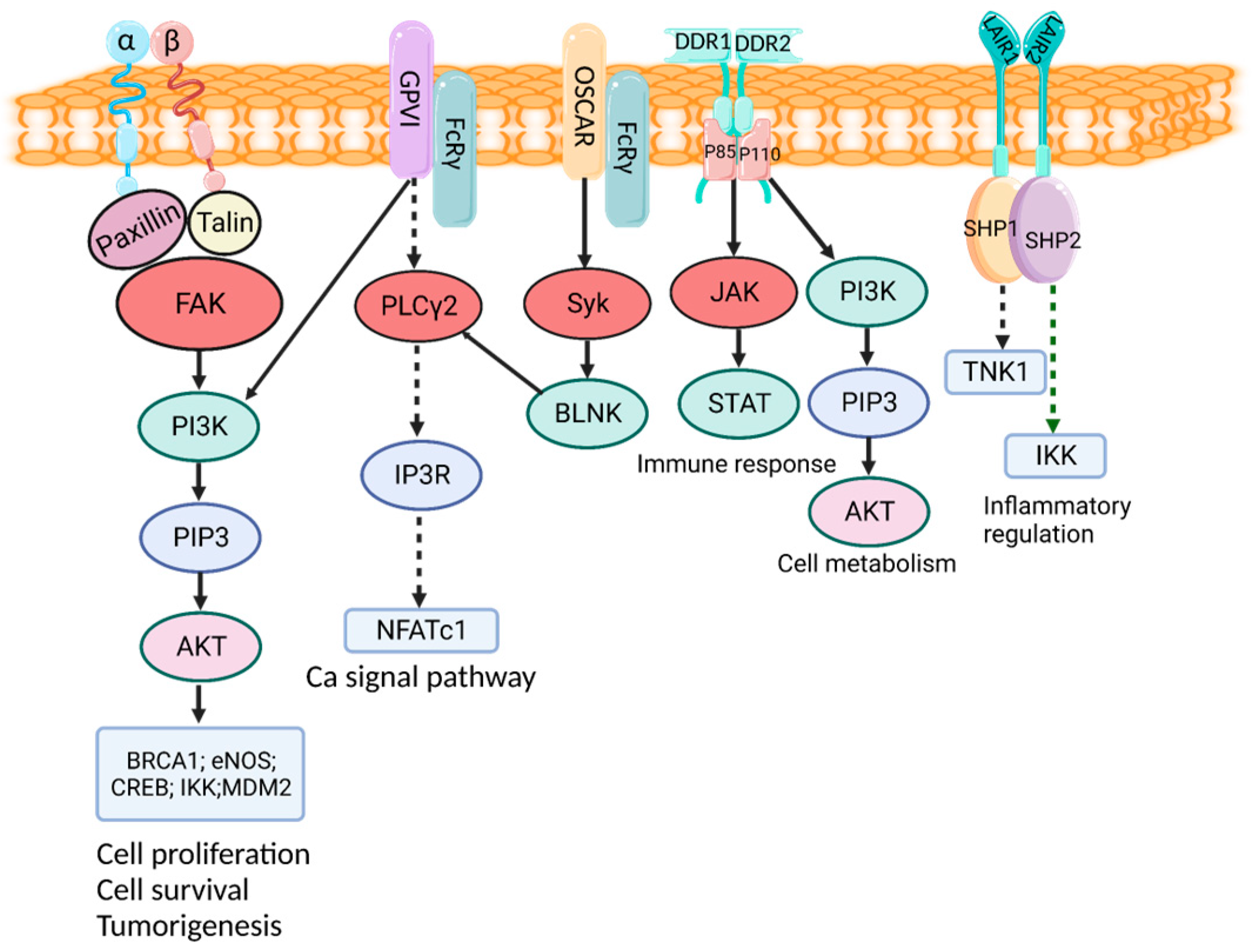 Applsci 15 06472 g003