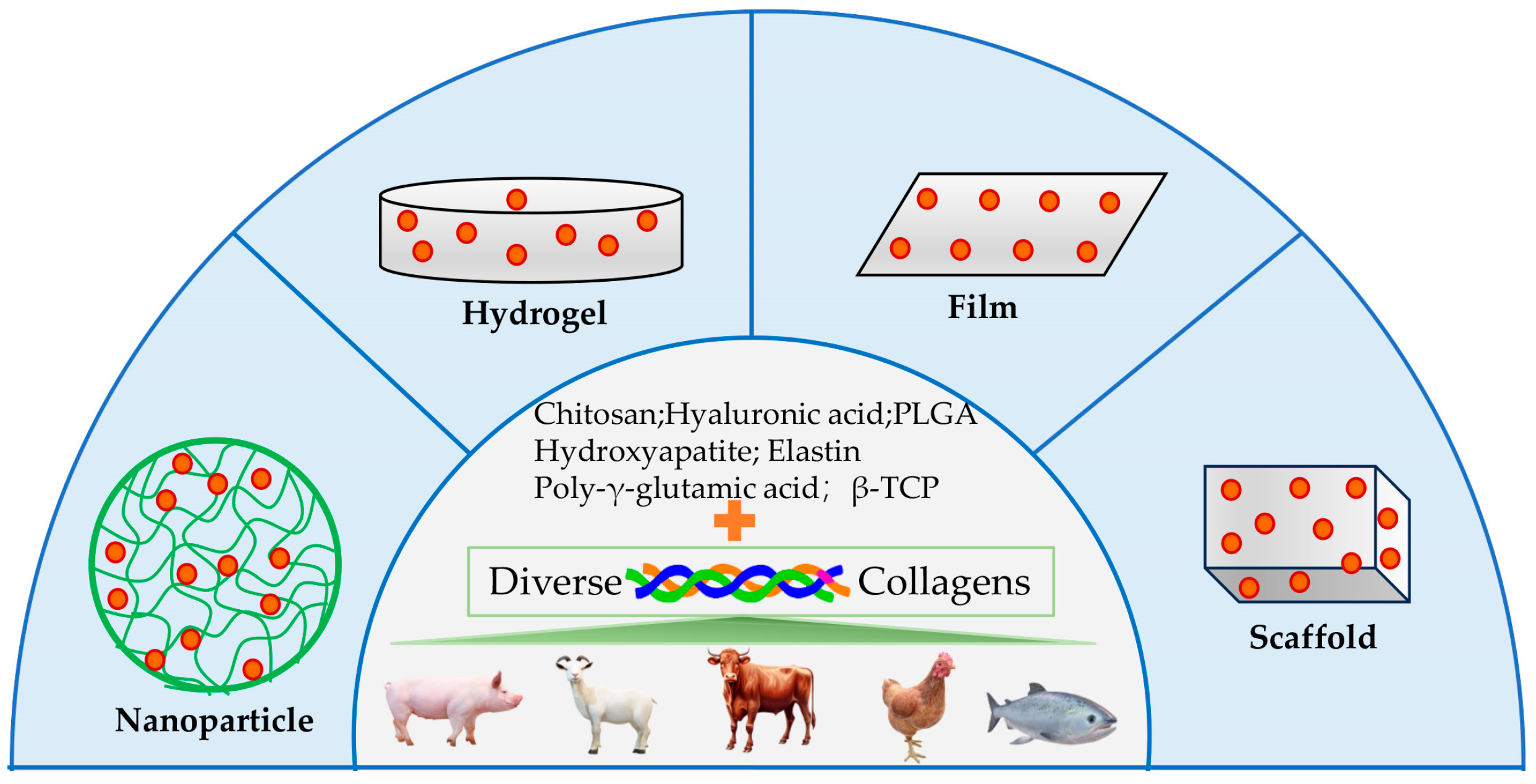 Applsci 15 06472 g004