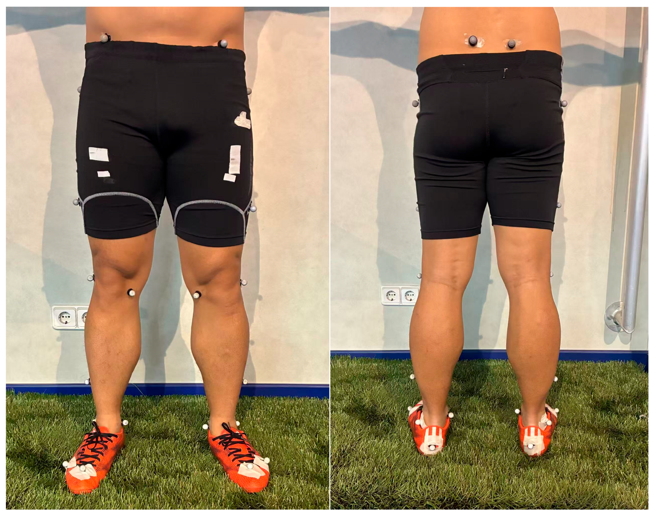 Applsci 15 06473 g001