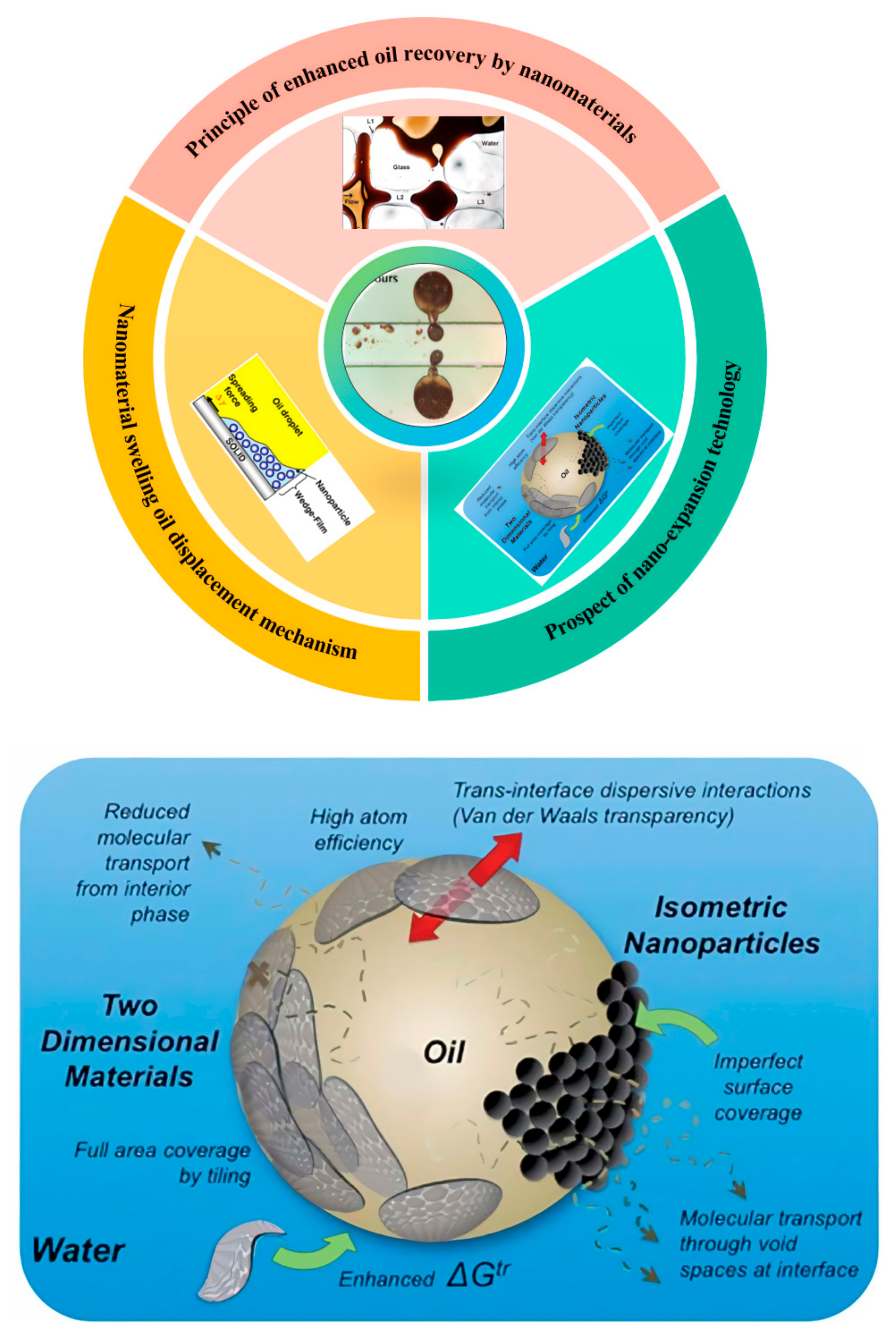 Applsci 15 06484 g001