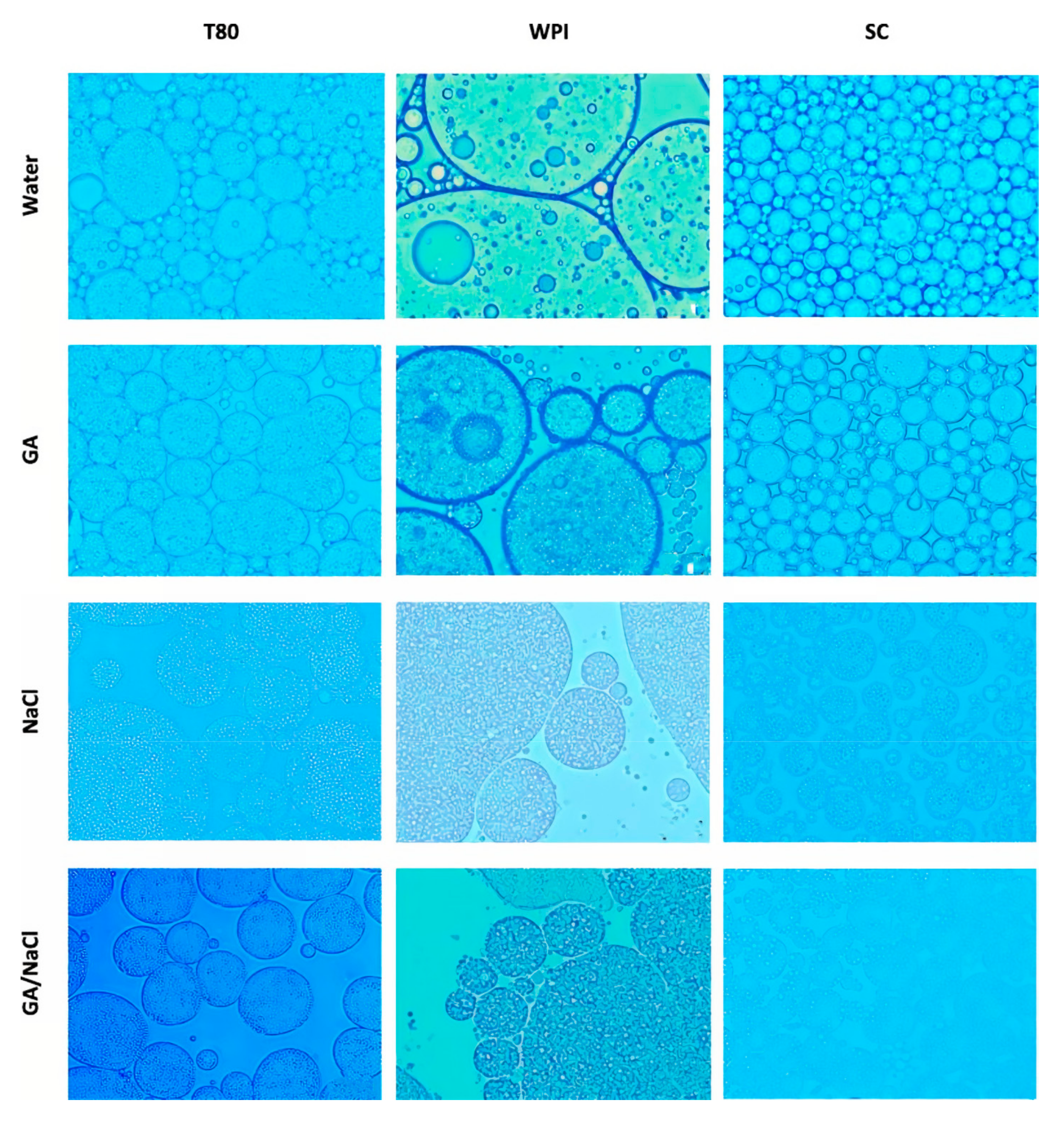 Applsci 15 06484 g008