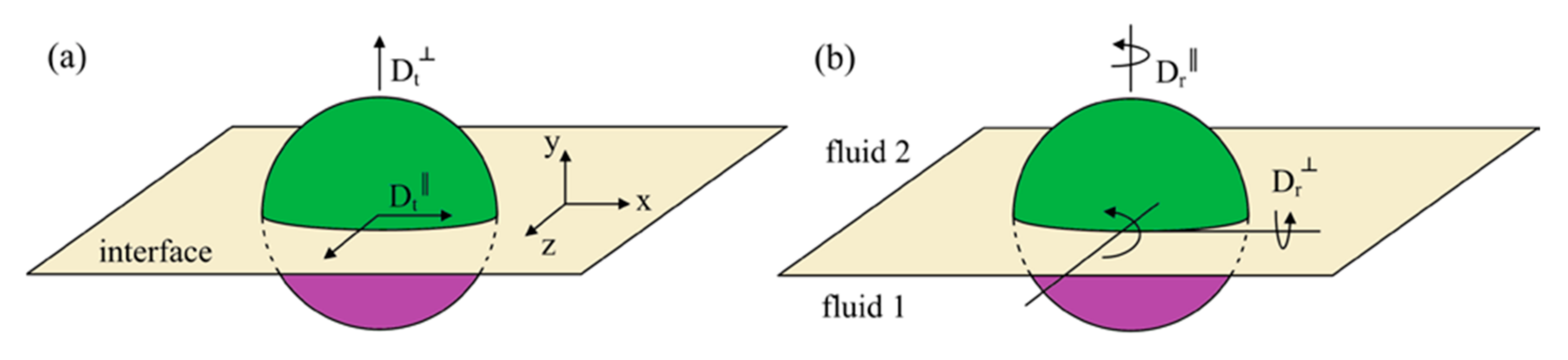 Applsci 15 06484 g009