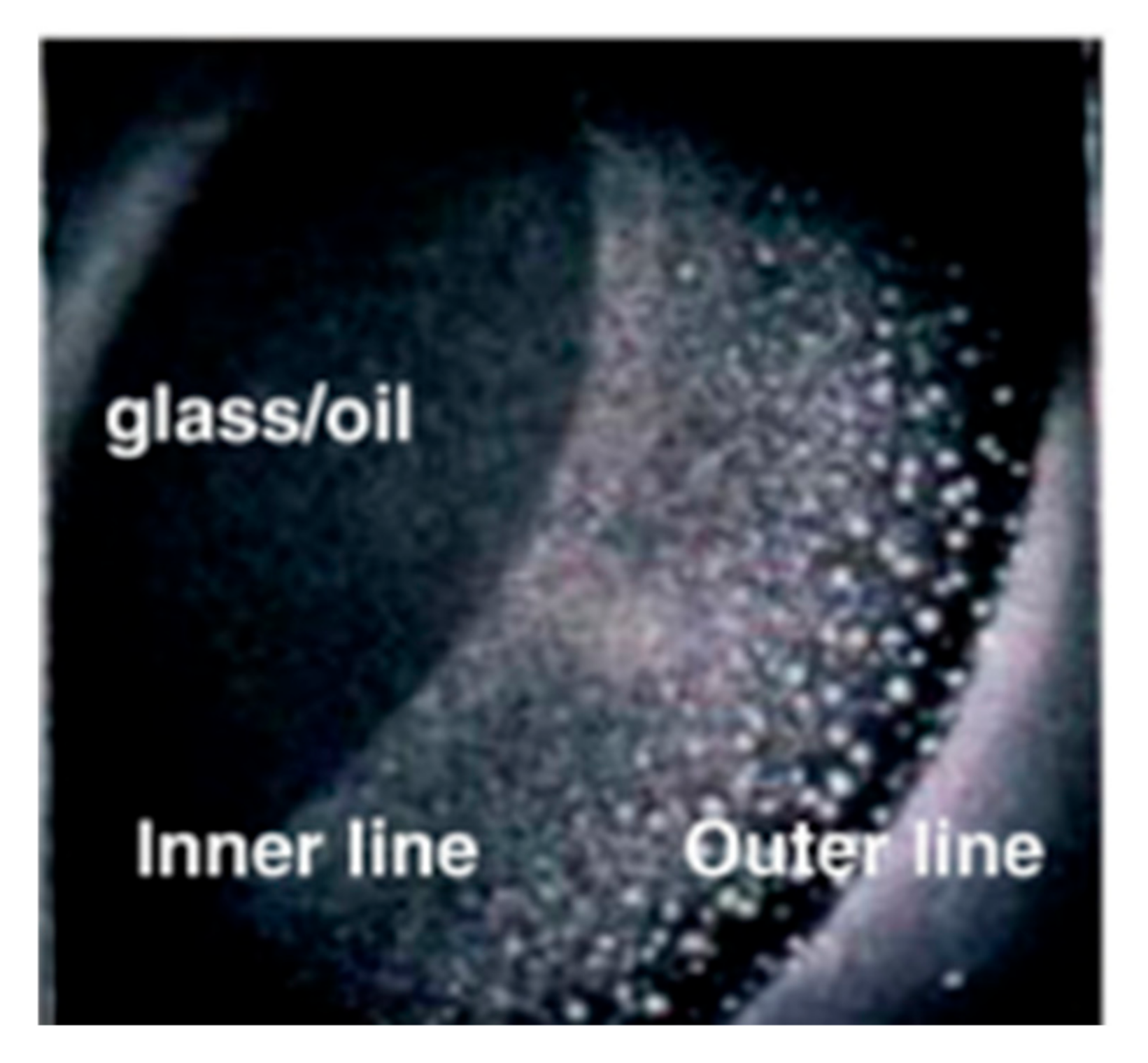 Applsci 15 06484 g011