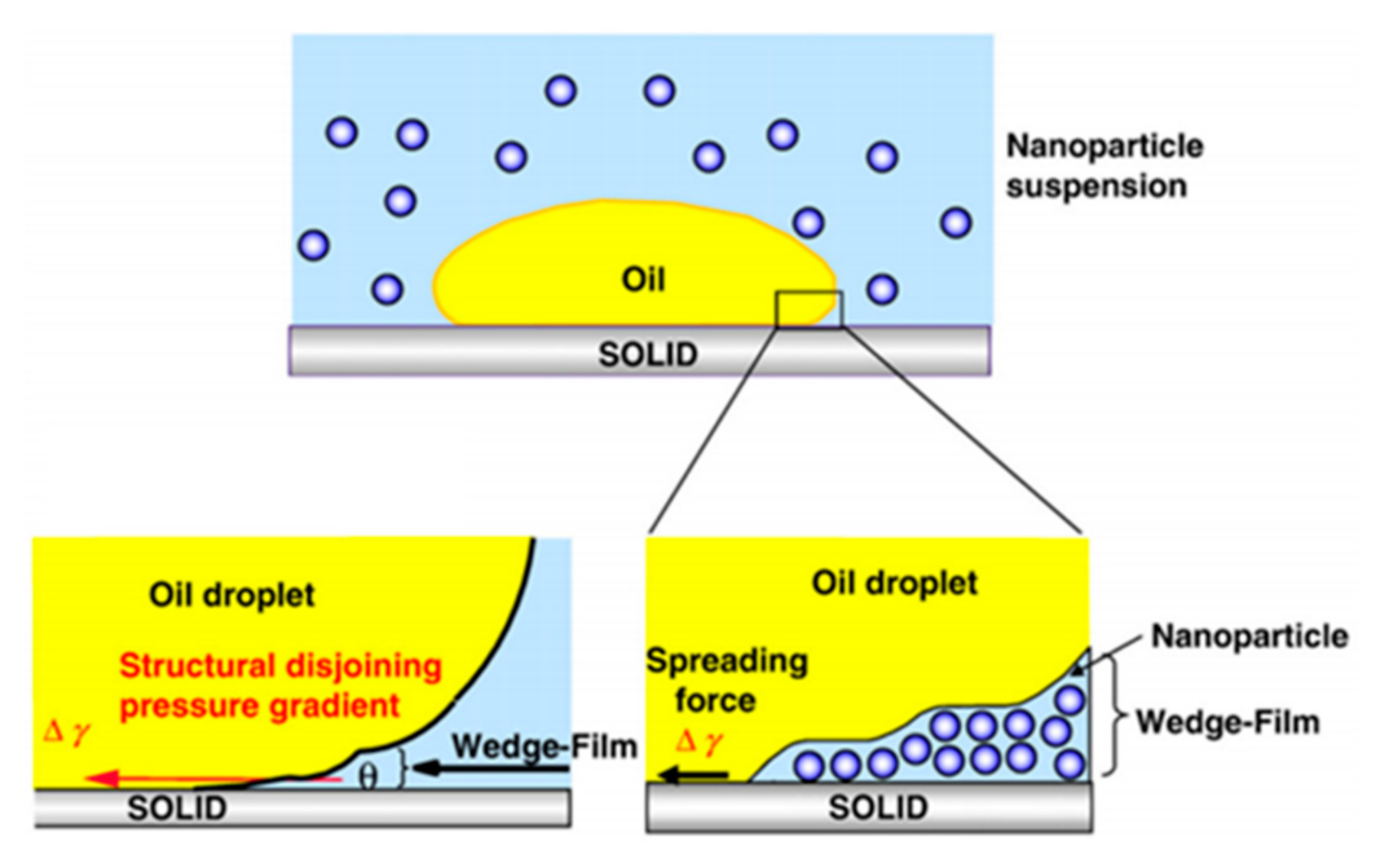 Applsci 15 06484 g012