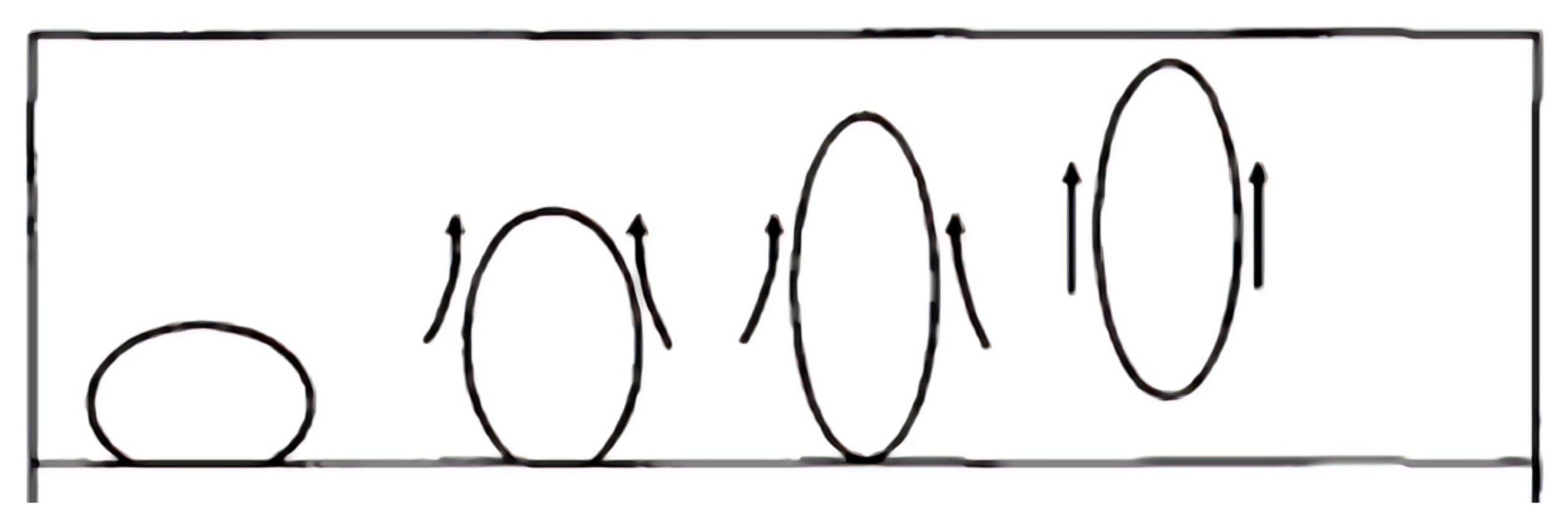 Applsci 15 06484 g013