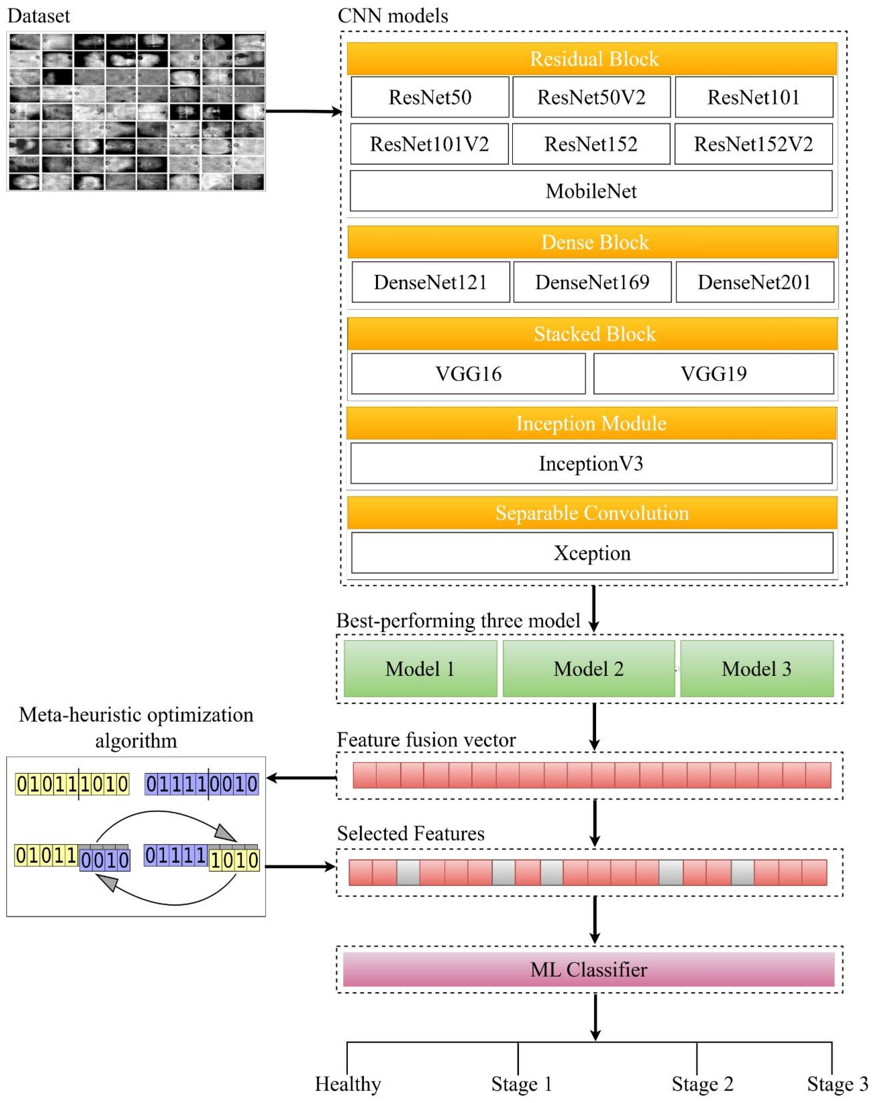 Applsci 15 06485 g001