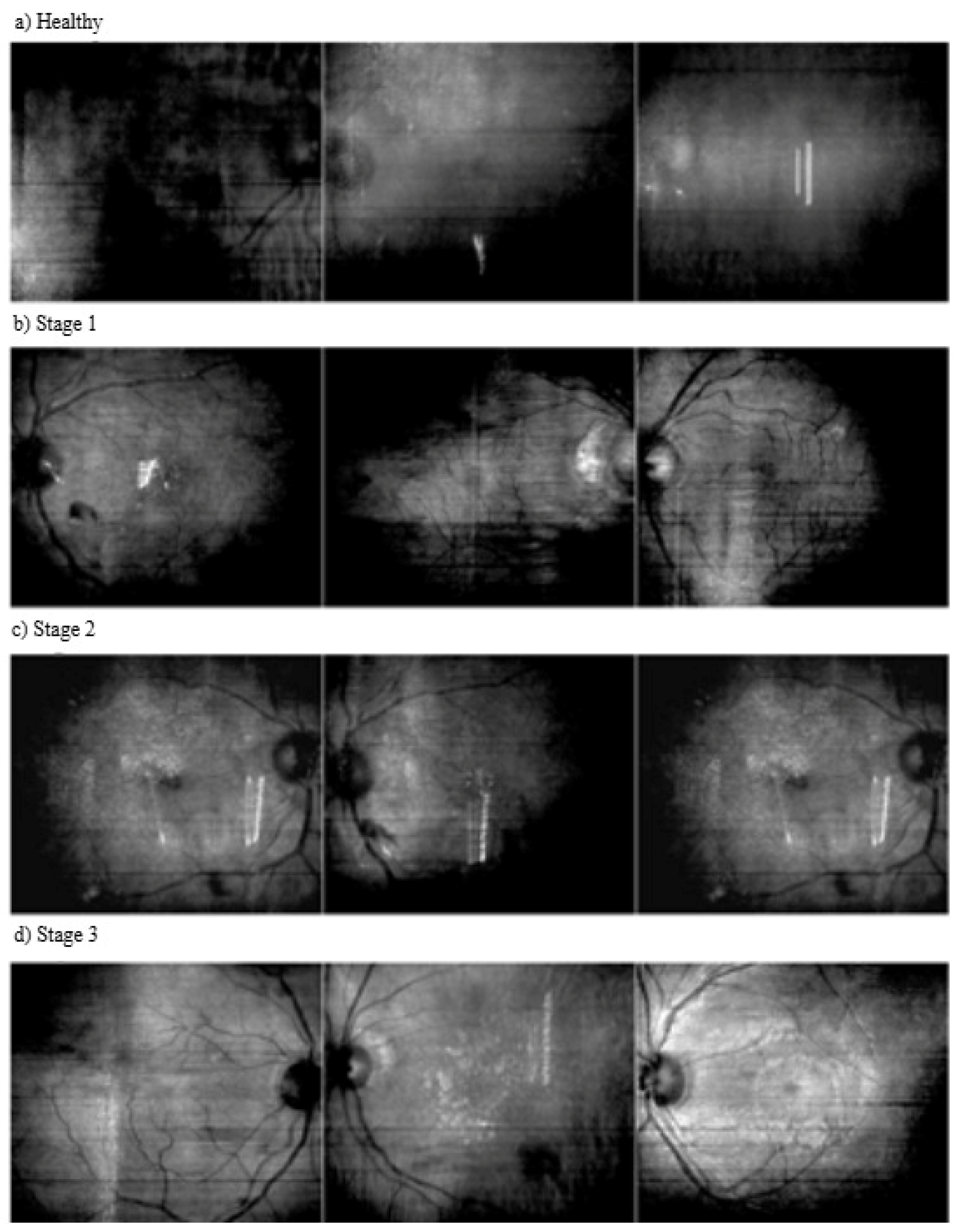 Applsci 15 06485 g002