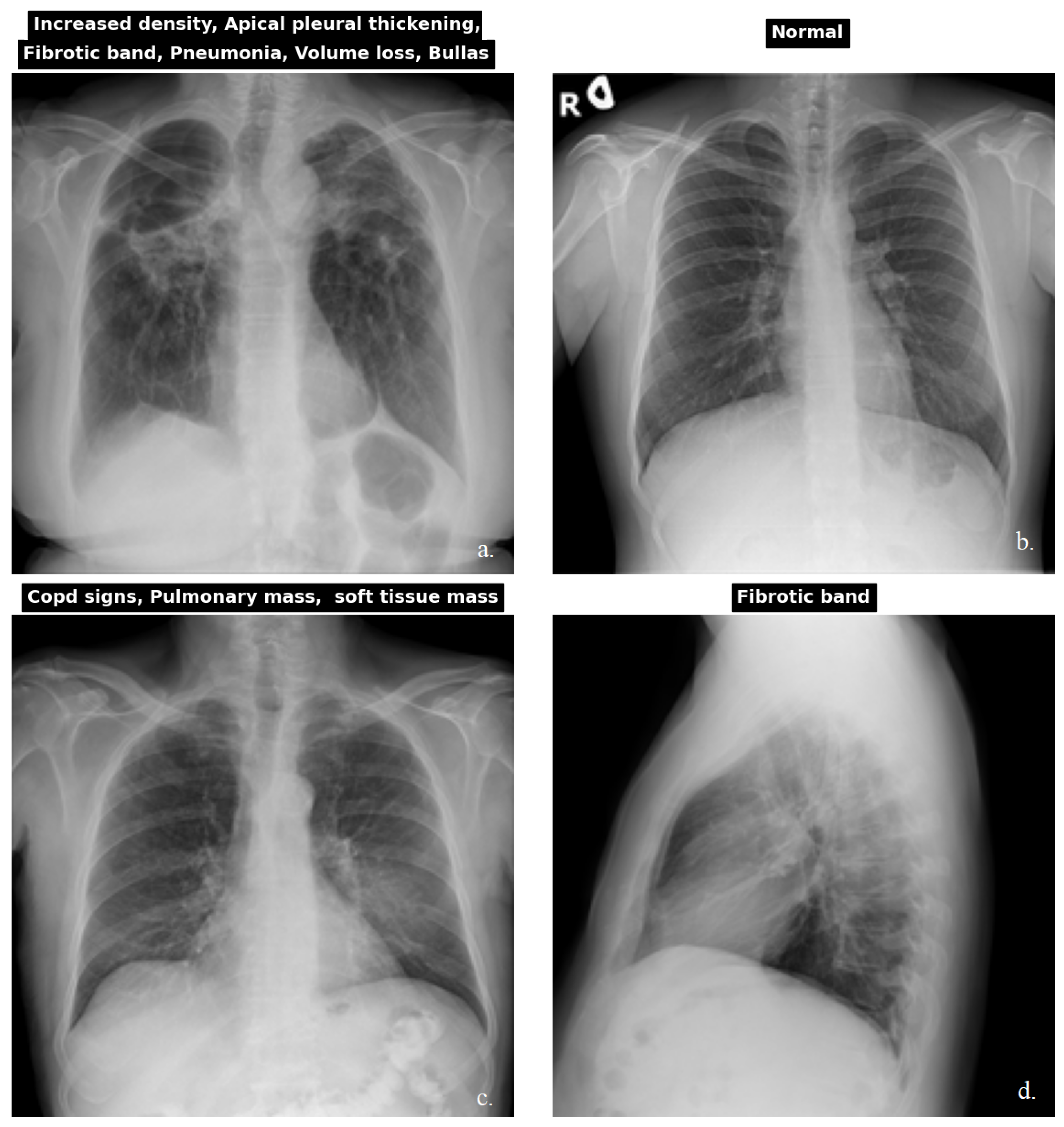 Applsci 15 06487 g003
