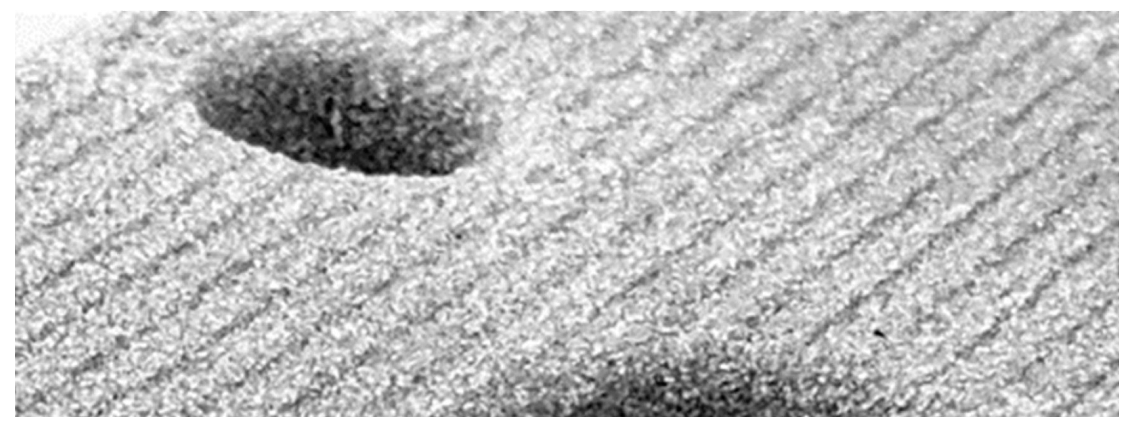 Applsci 15 06488 g013