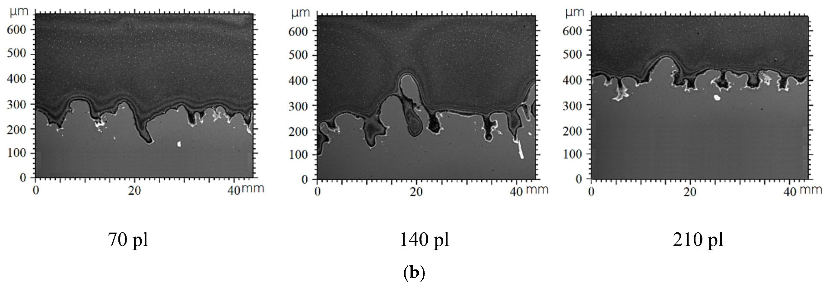 Applsci 15 06488 g016b