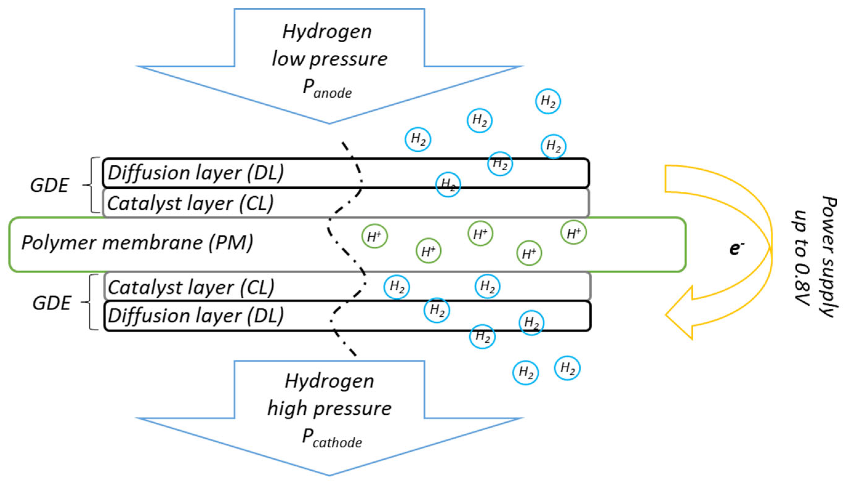 Applsci 15 06507 g001
