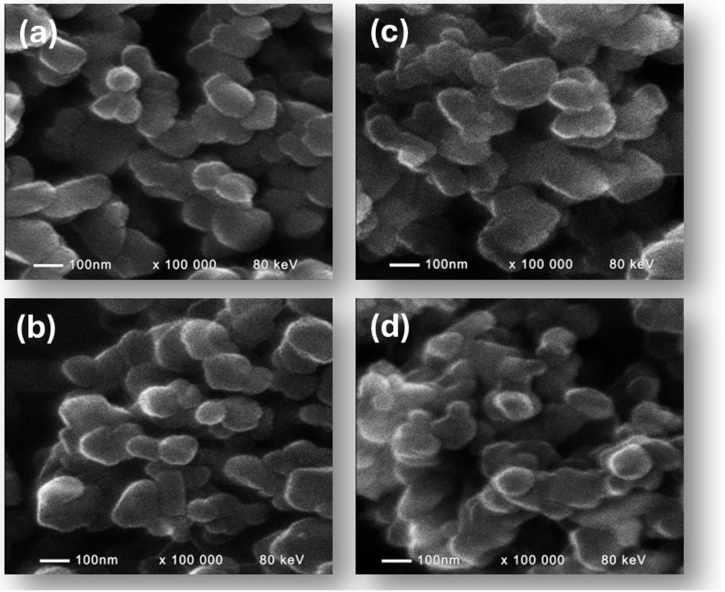 Applsci 15 06507 g003