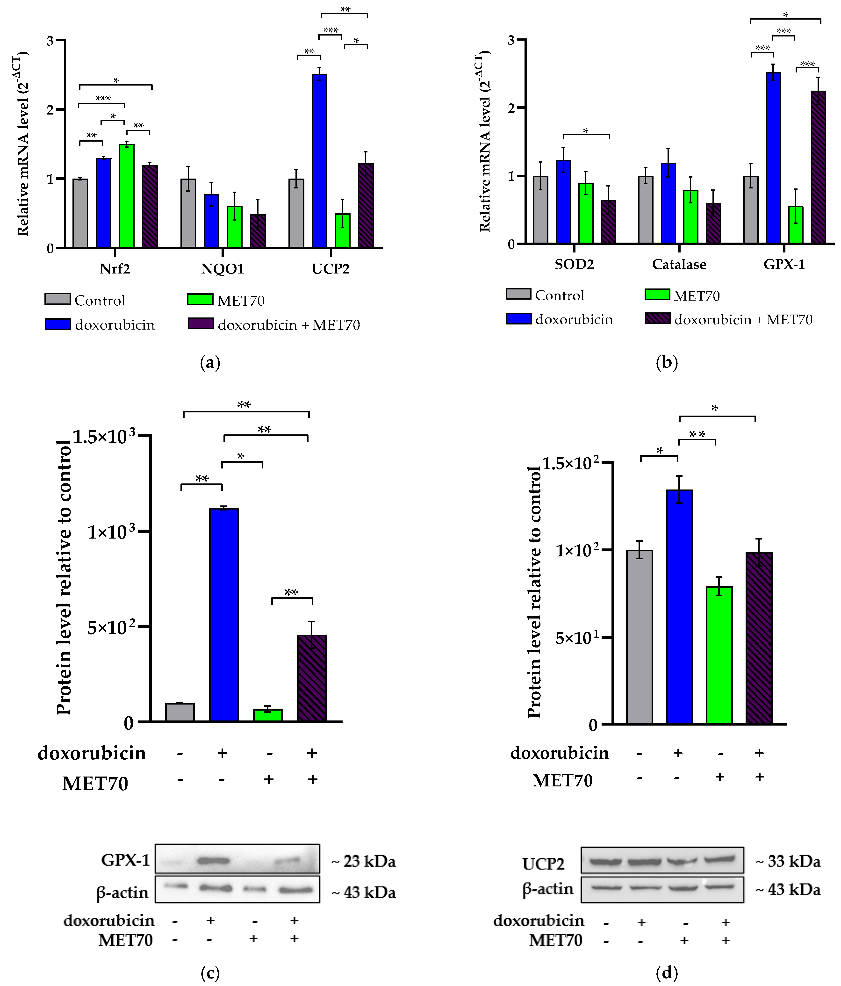 Applsci 15 06509 g003