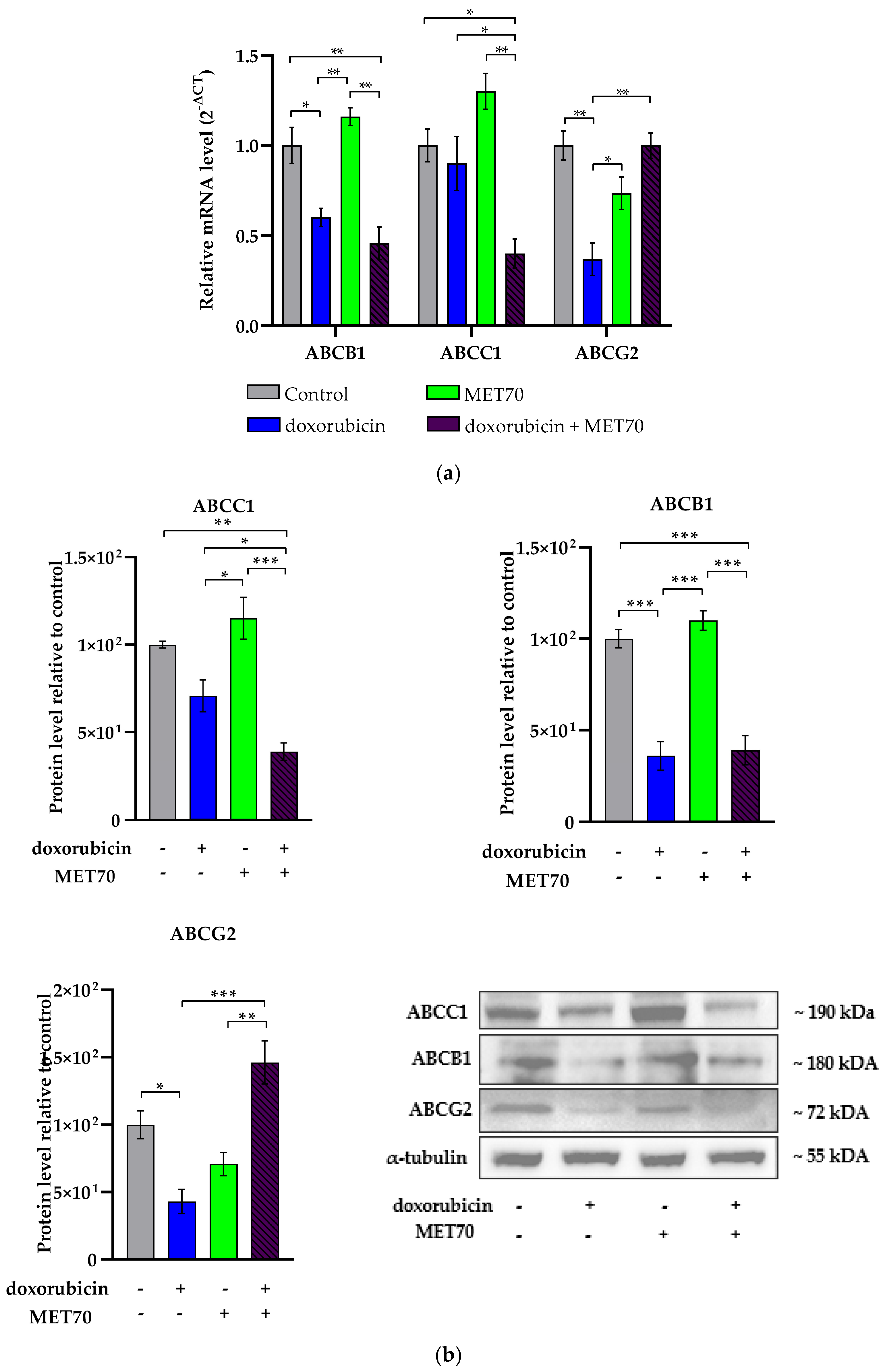 Applsci 15 06509 g008