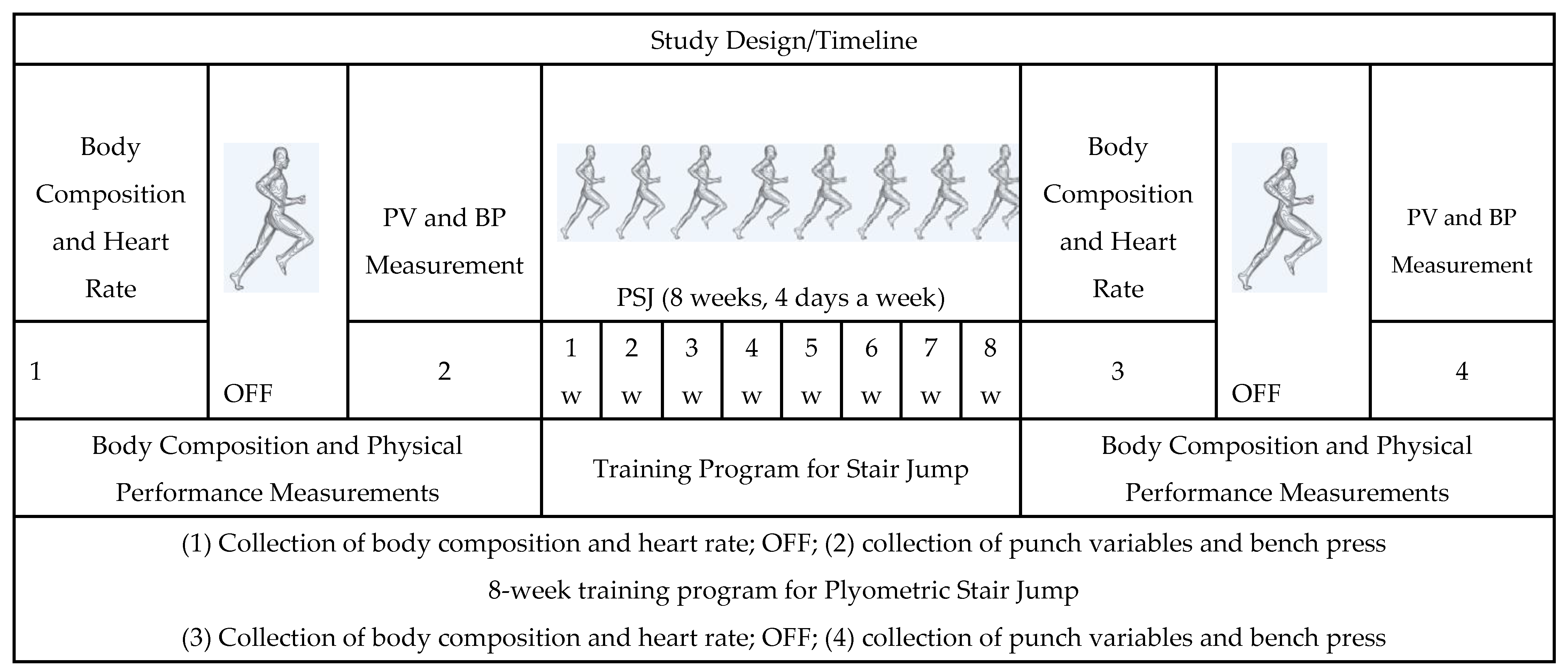 Applsci 15 06532 g002