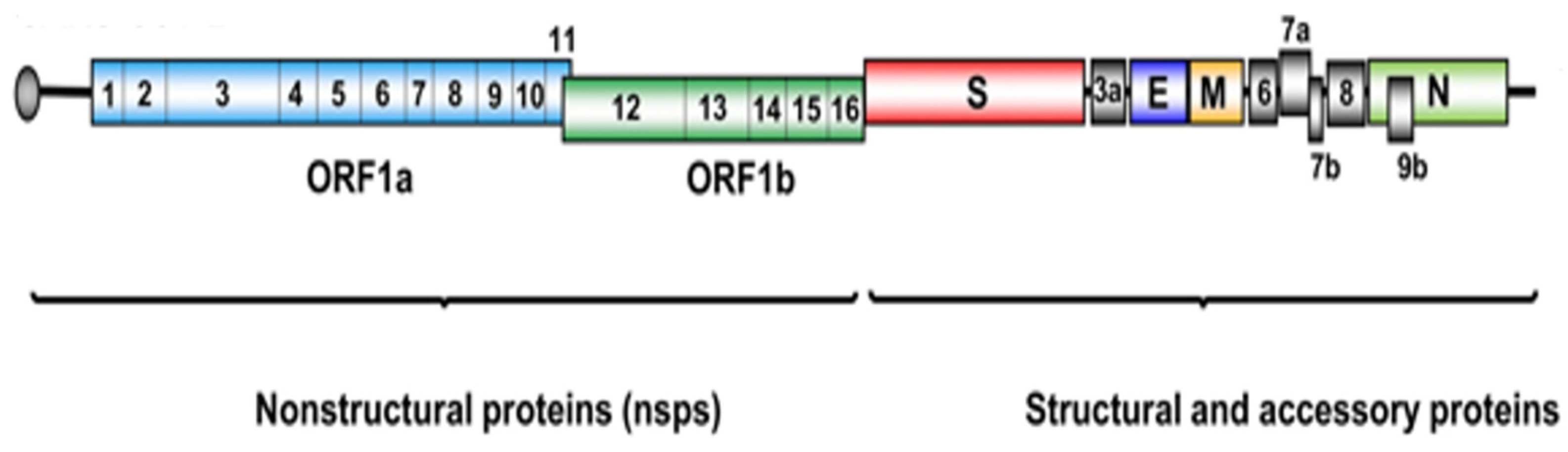 Applsci 15 06544 g001