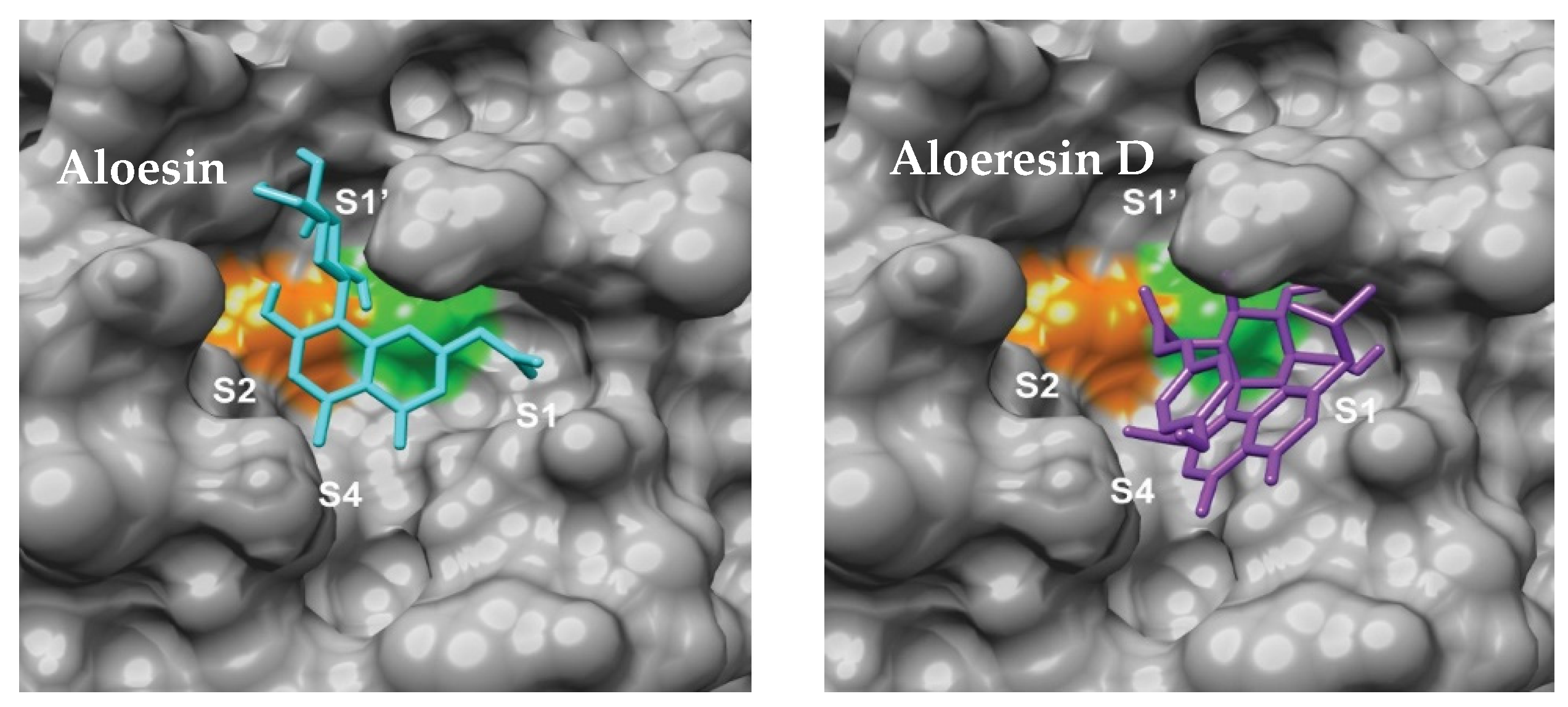 Applsci 15 06544 g009