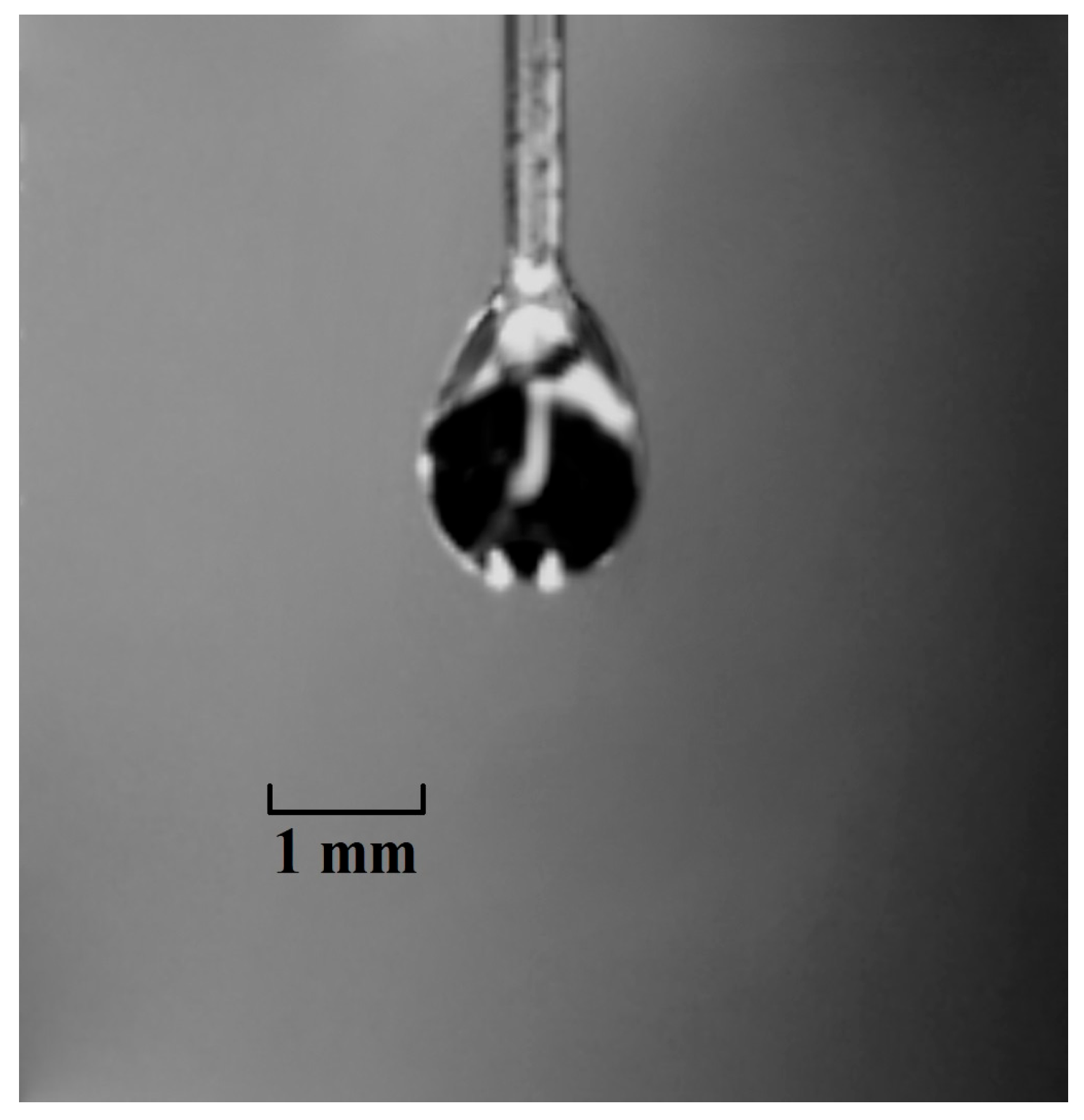 Applsci 15 06558 g008