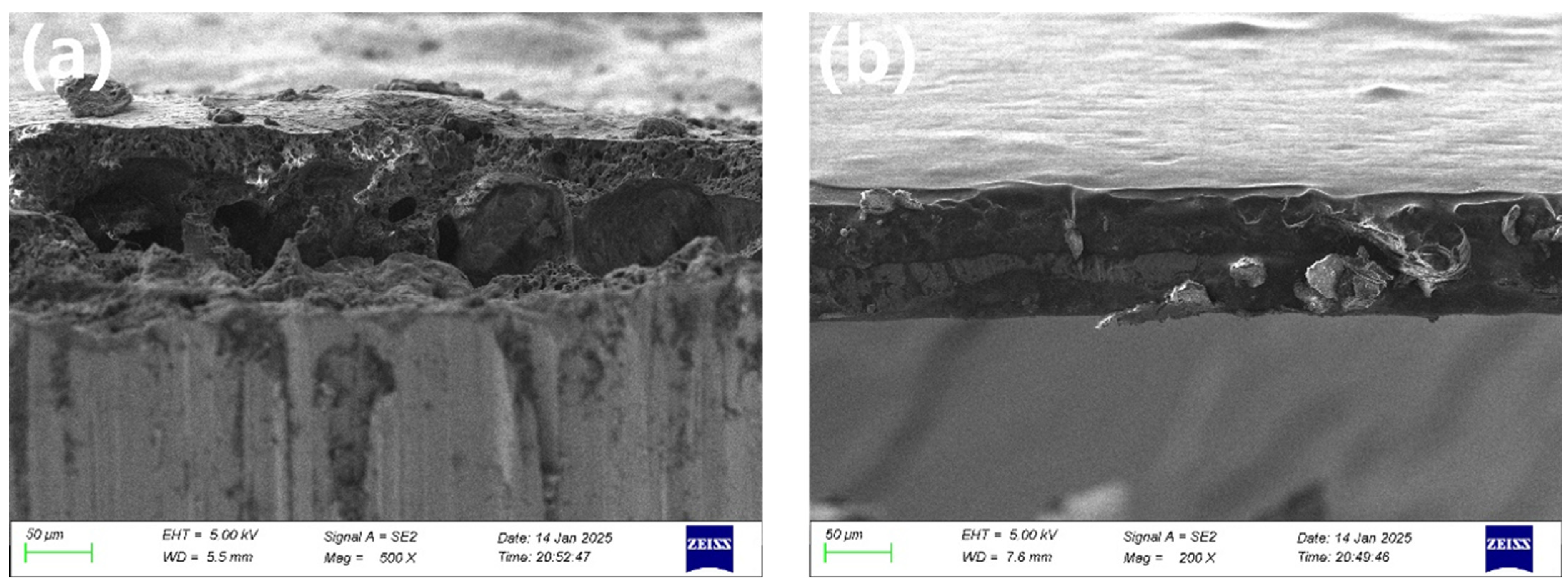 Applsci 15 06561 g005