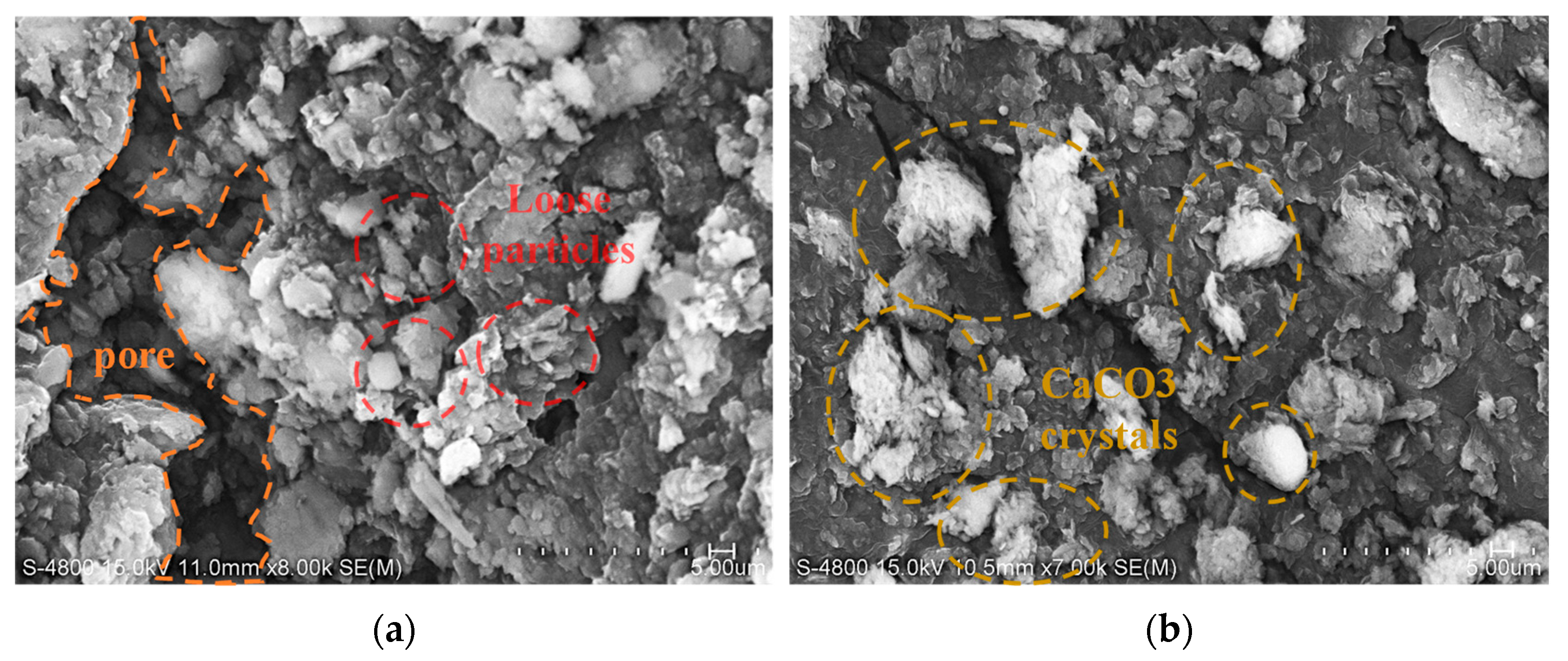 Applsci 15 06570 g008