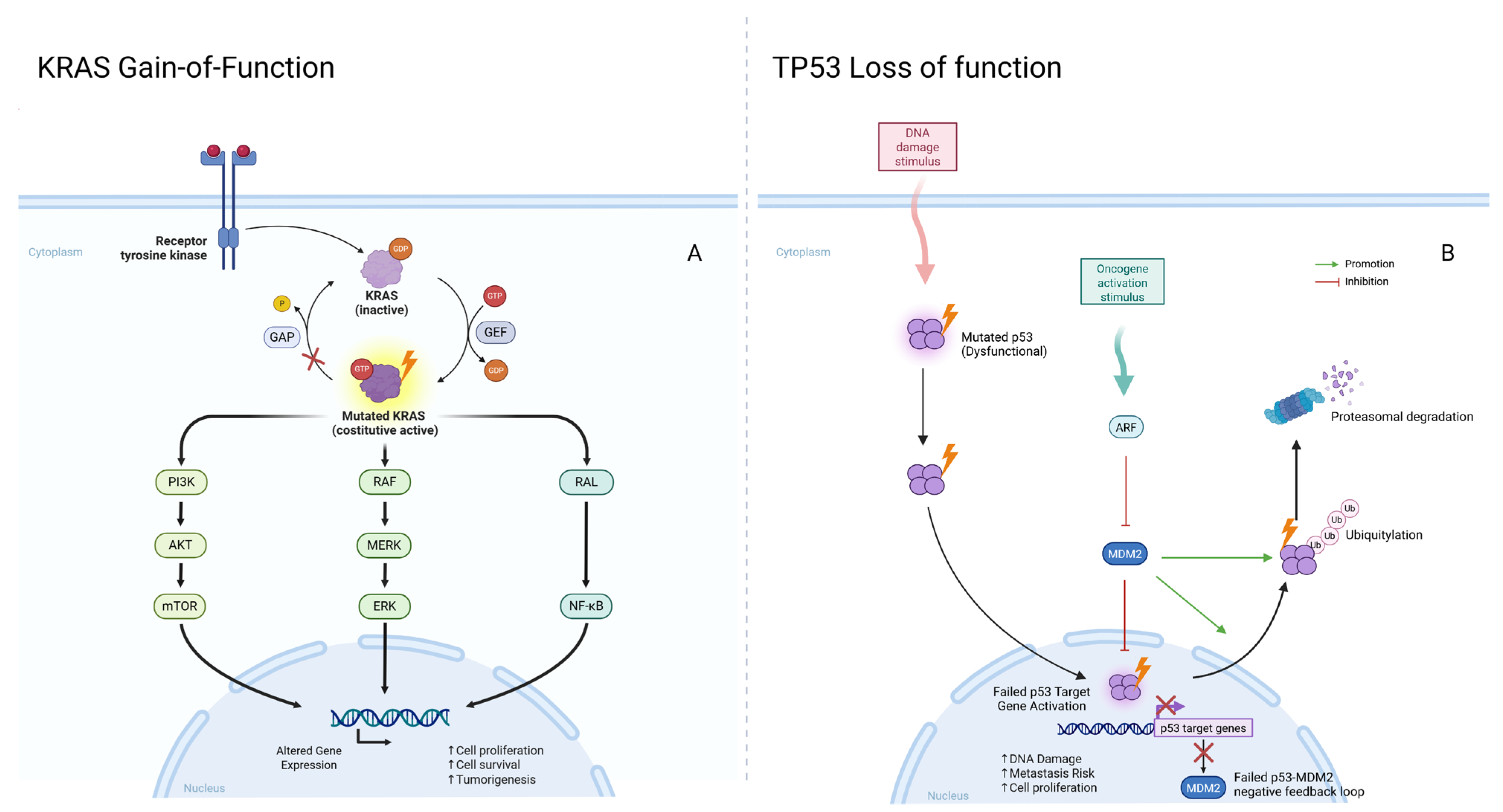 Applsci 15 06578 g001