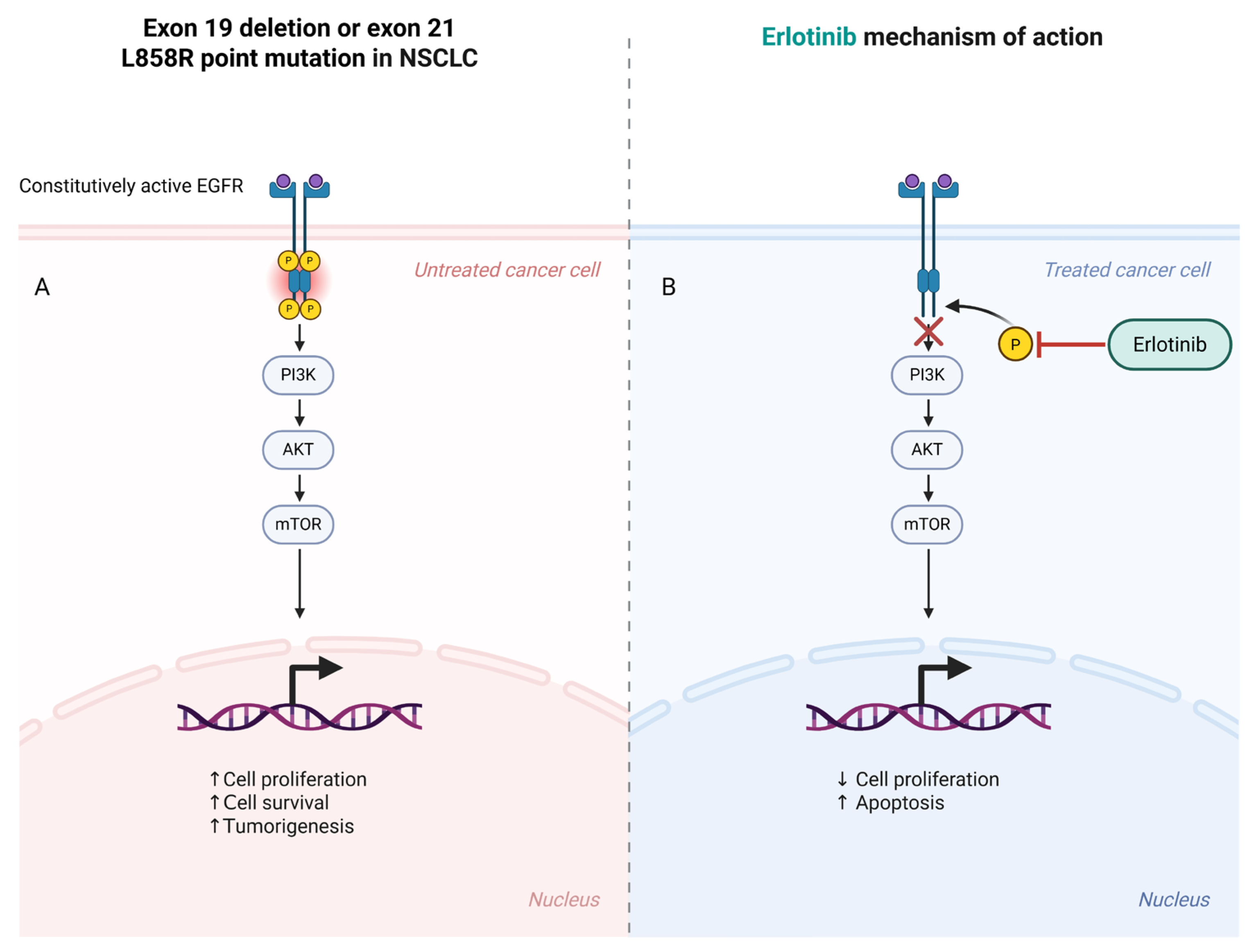 Applsci 15 06578 g002