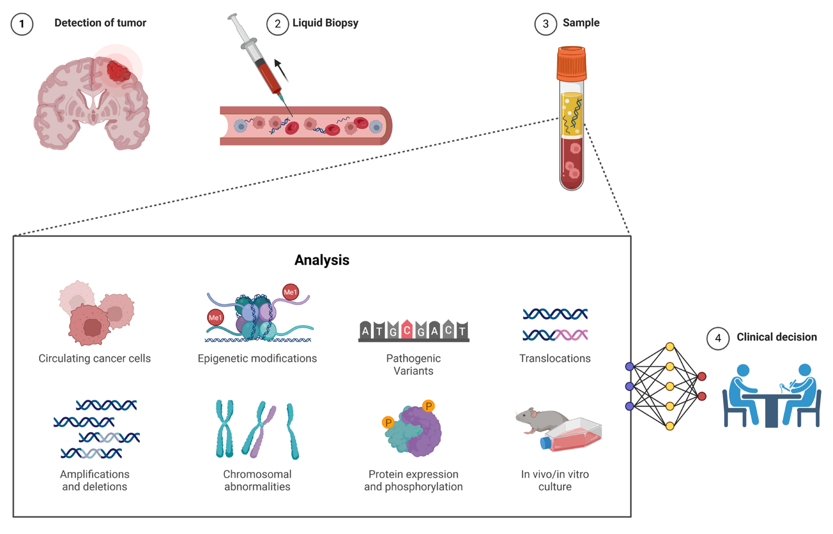 Applsci 15 06578 g005