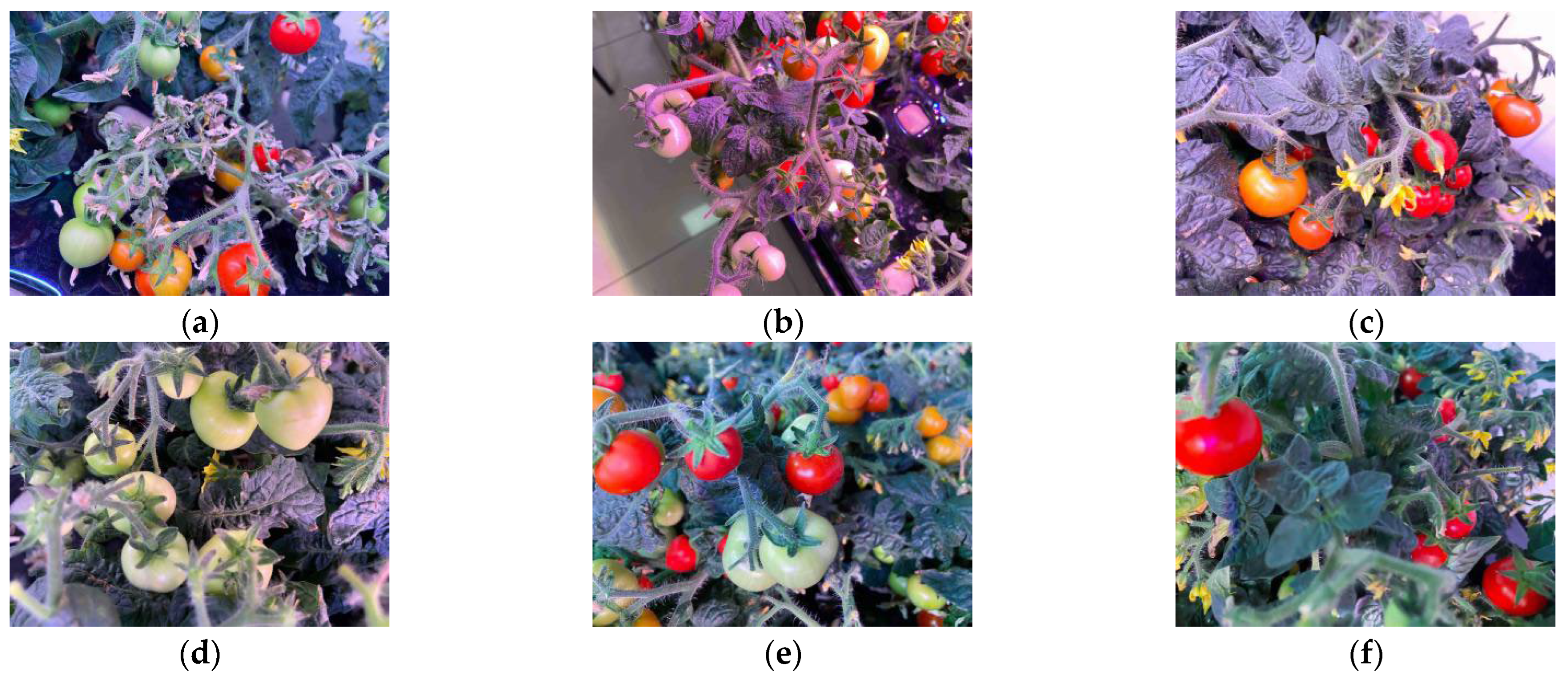 Applsci 15 06589 g001