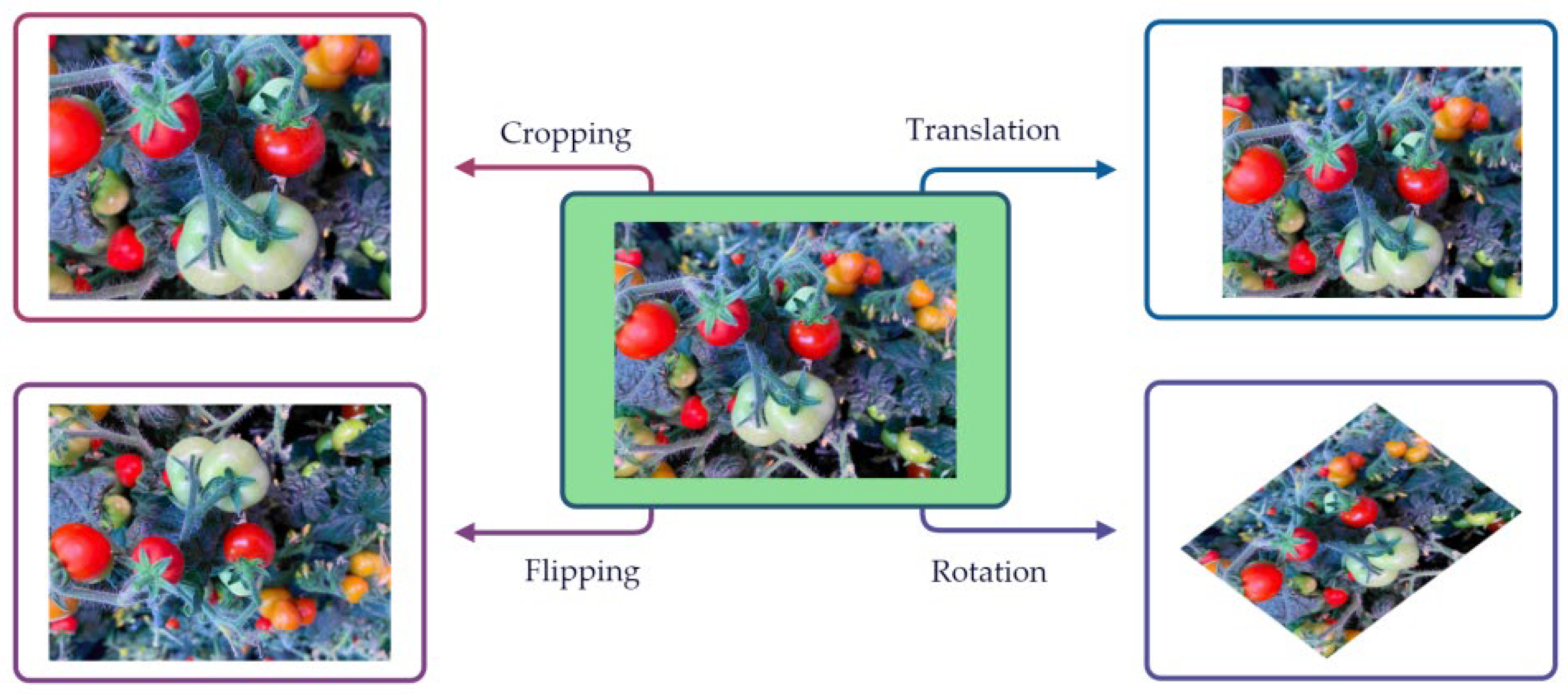 Applsci 15 06589 g002