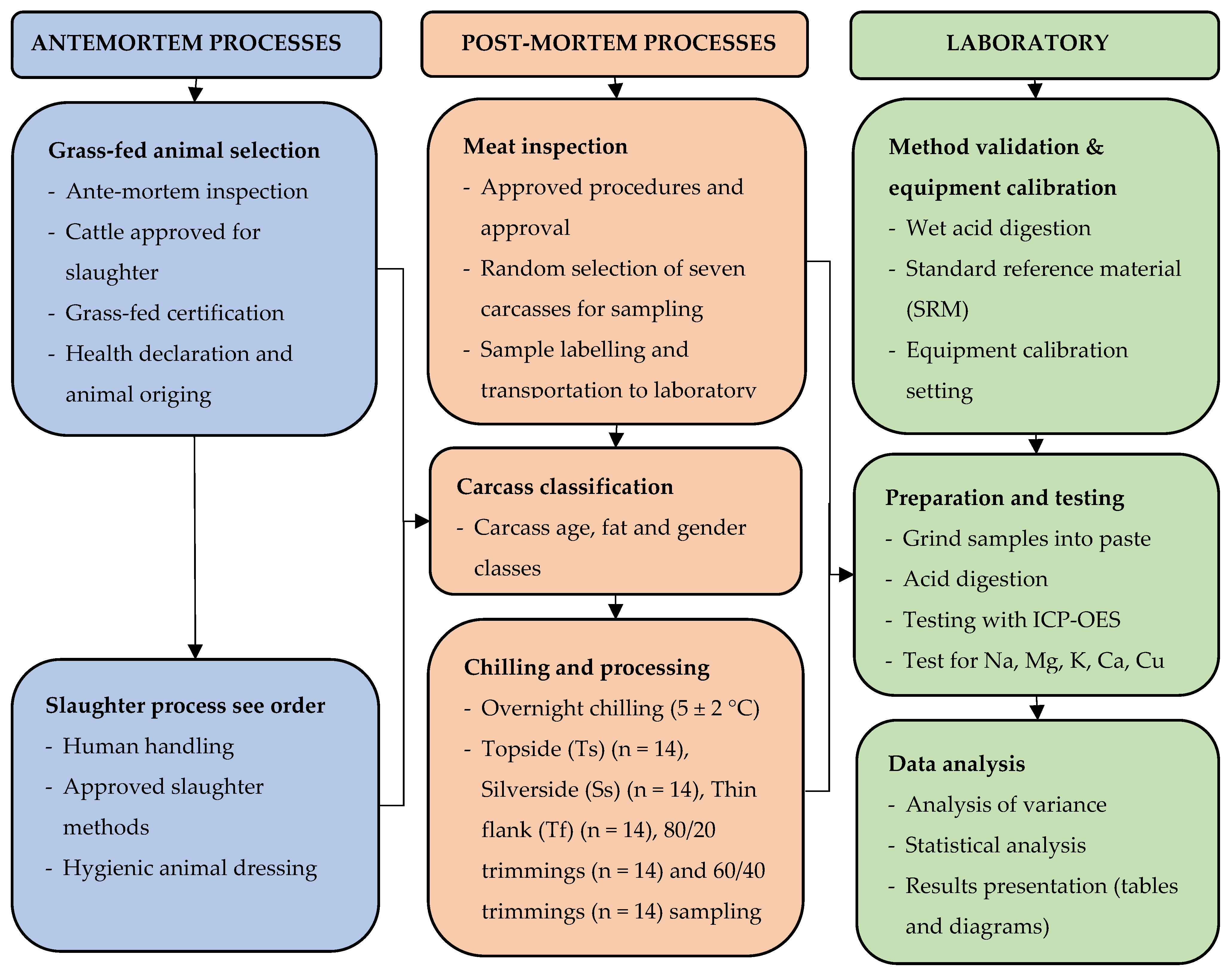 Applsci 15 06612 g001