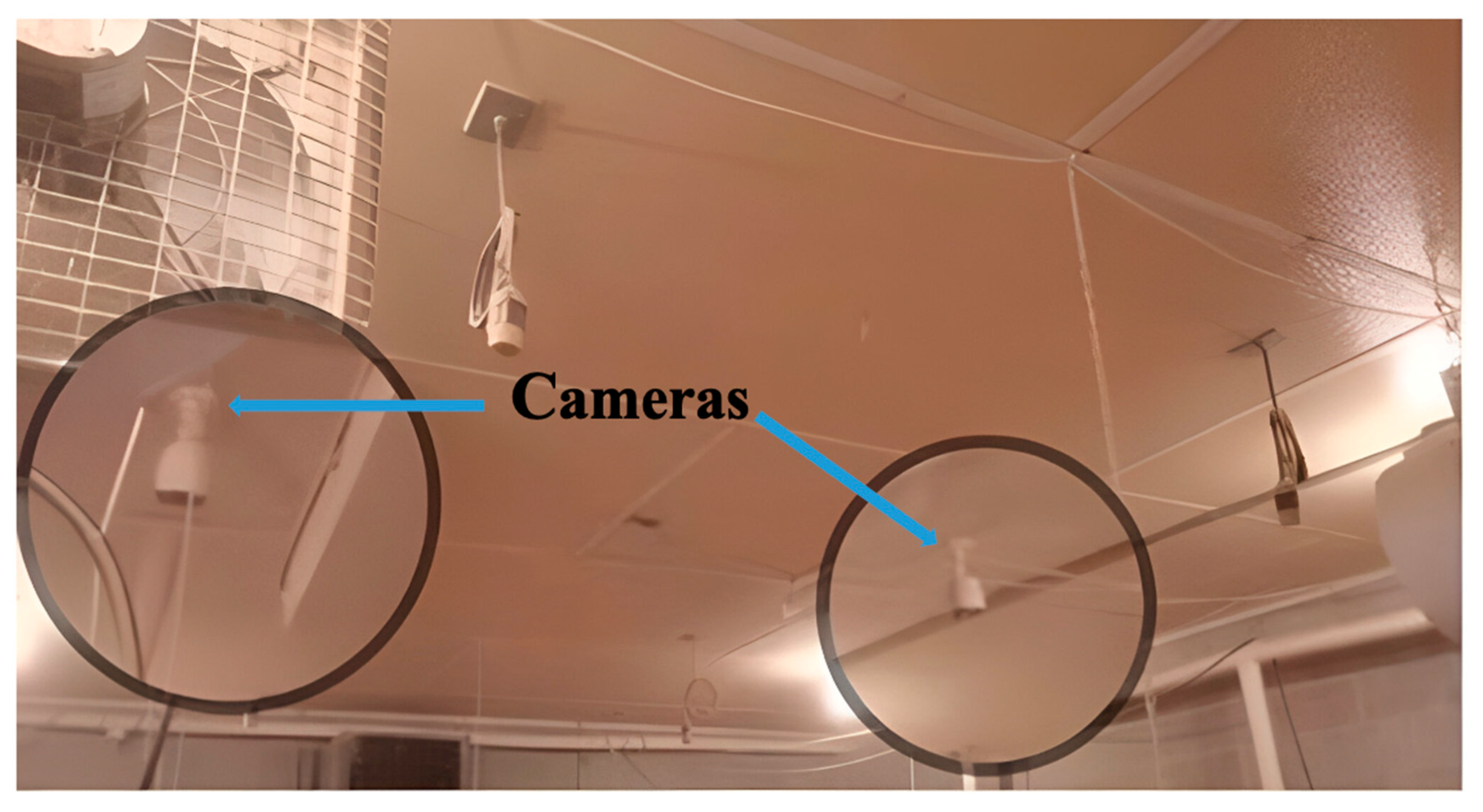 Applsci 15 06625 g001