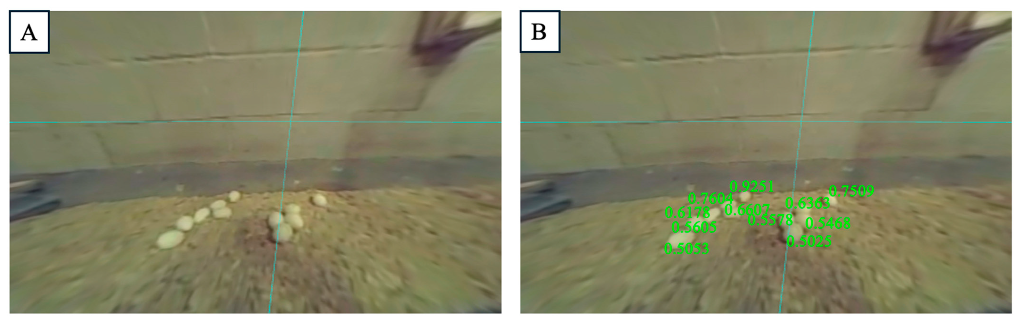 Applsci 15 06625 g006