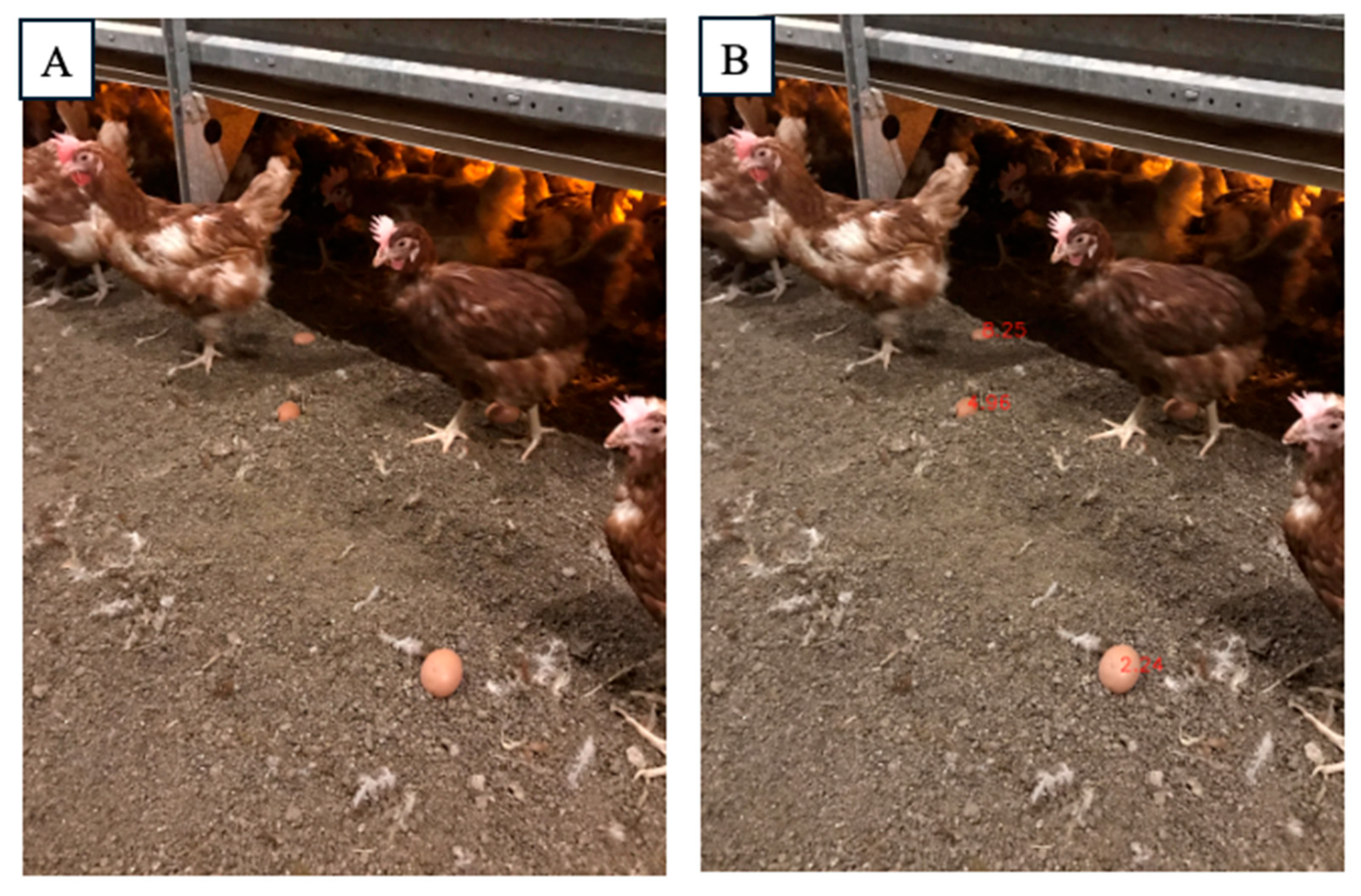 Applsci 15 06625 g008