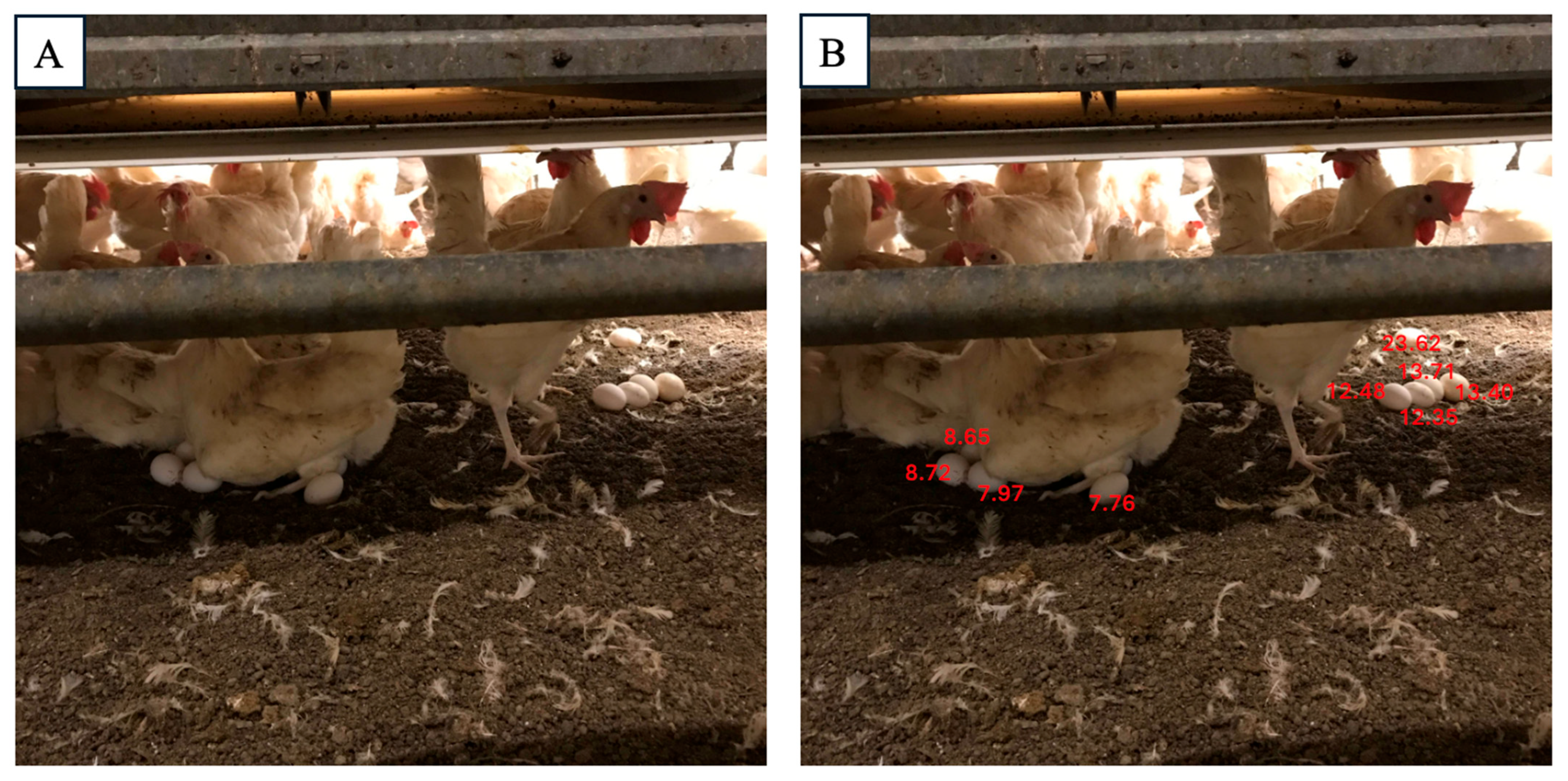 Applsci 15 06625 g009