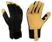 Applsci 15 06630 i005