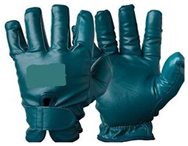 Applsci 15 06630 i021