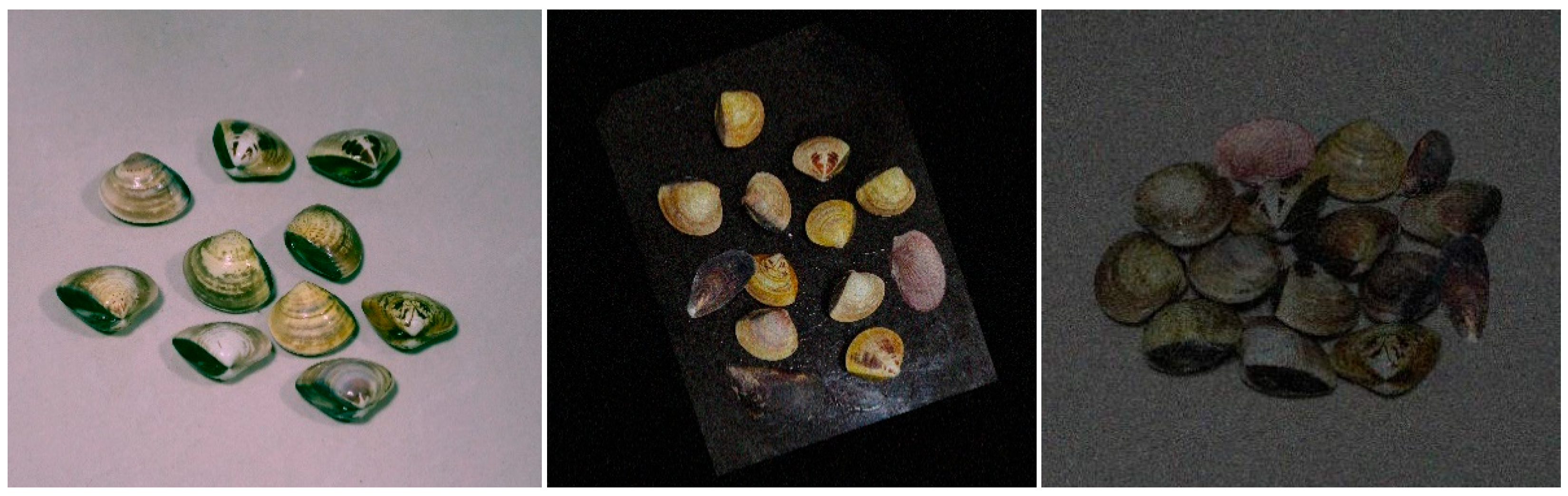 Applsci 15 06647 g002