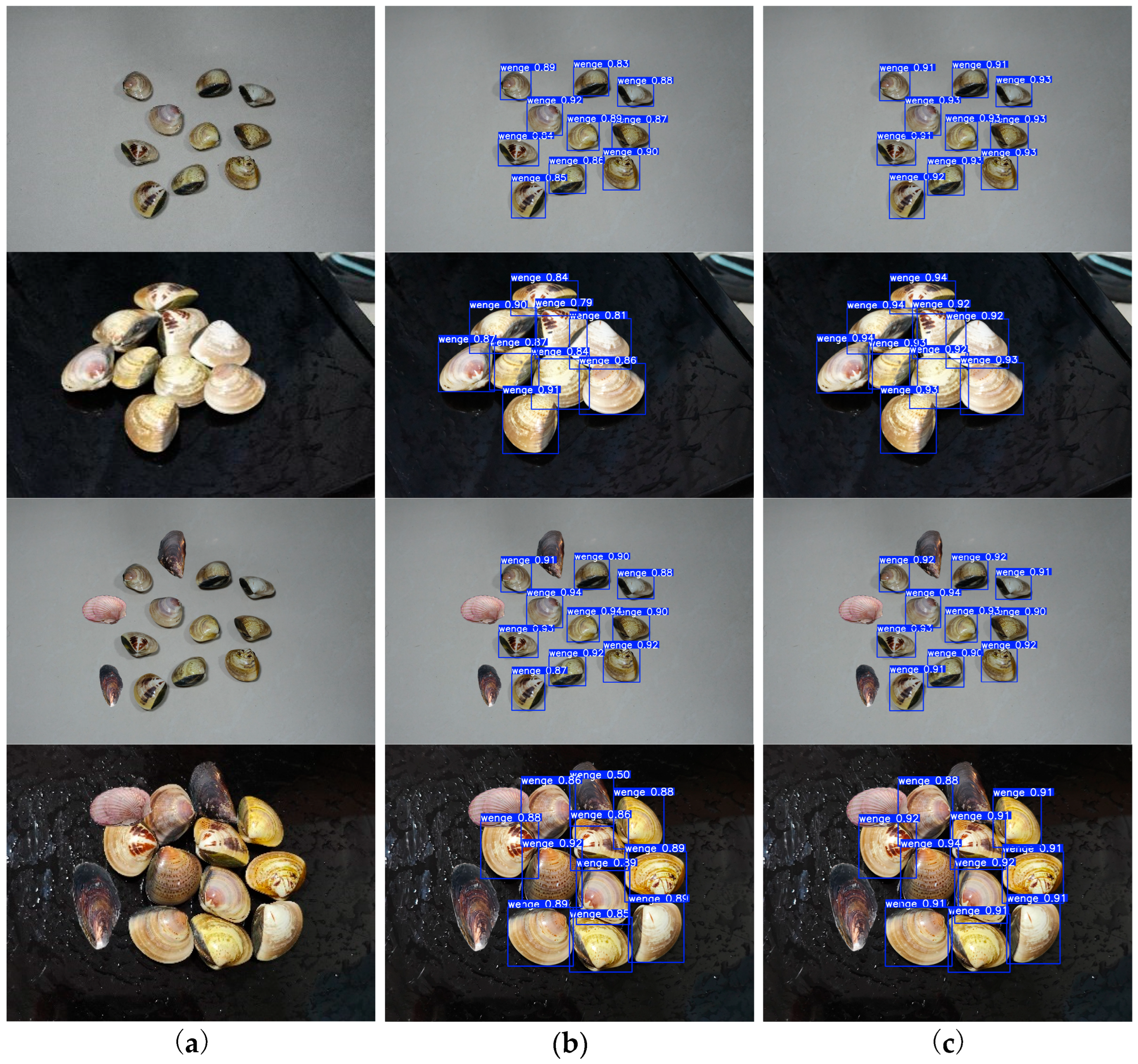 Applsci 15 06647 g009