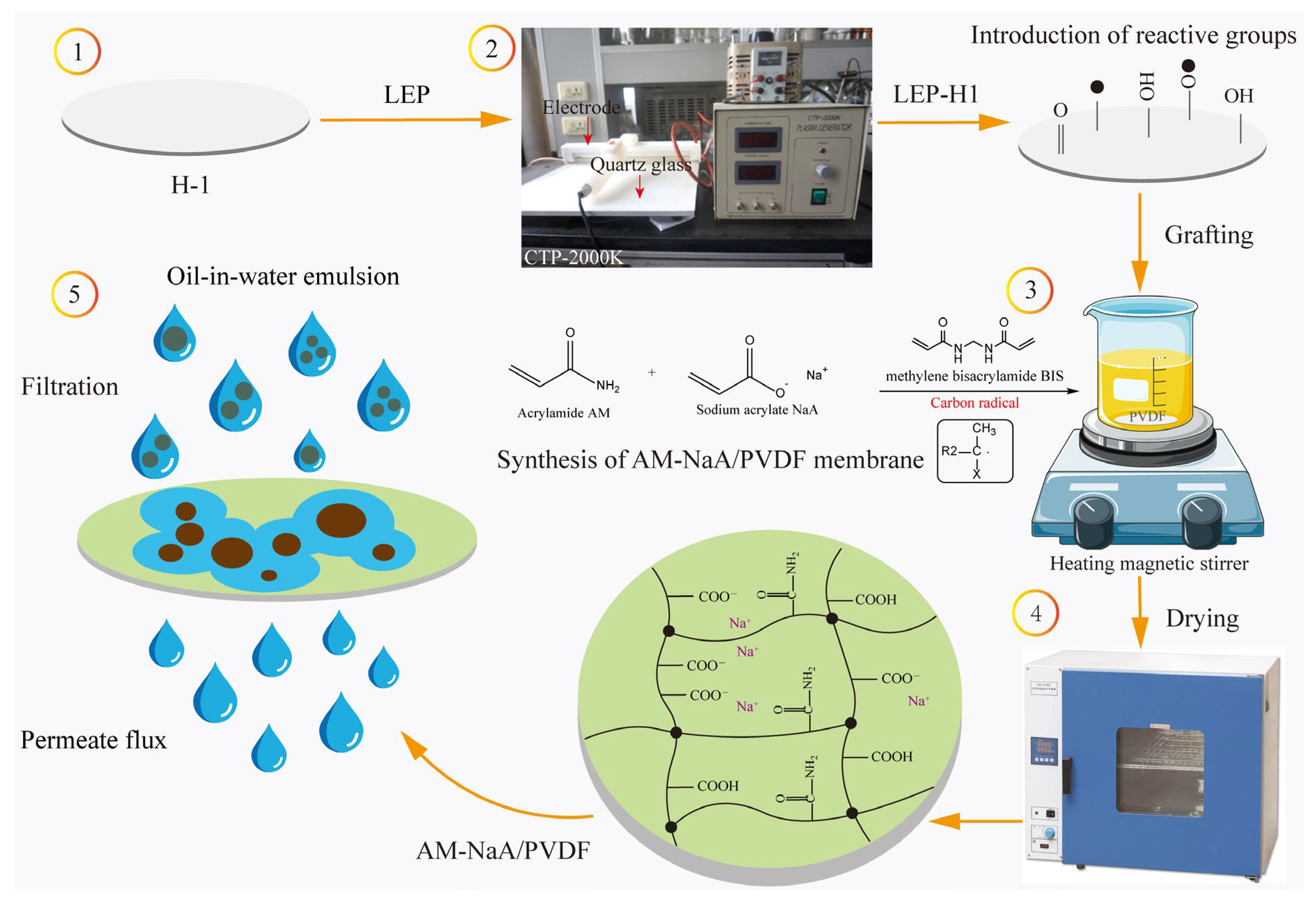 Applsci 15 06654 g001