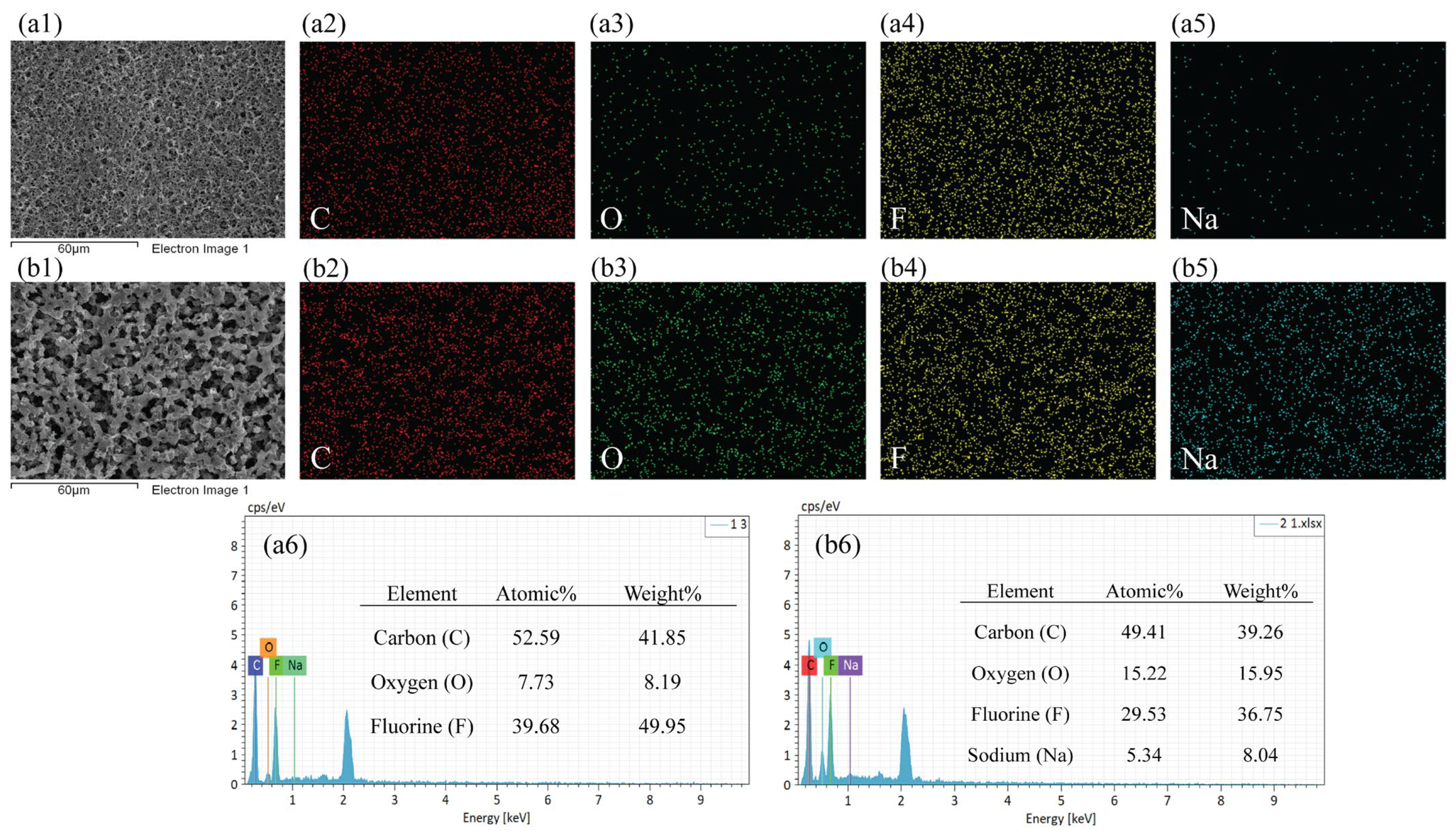 Applsci 15 06654 g005