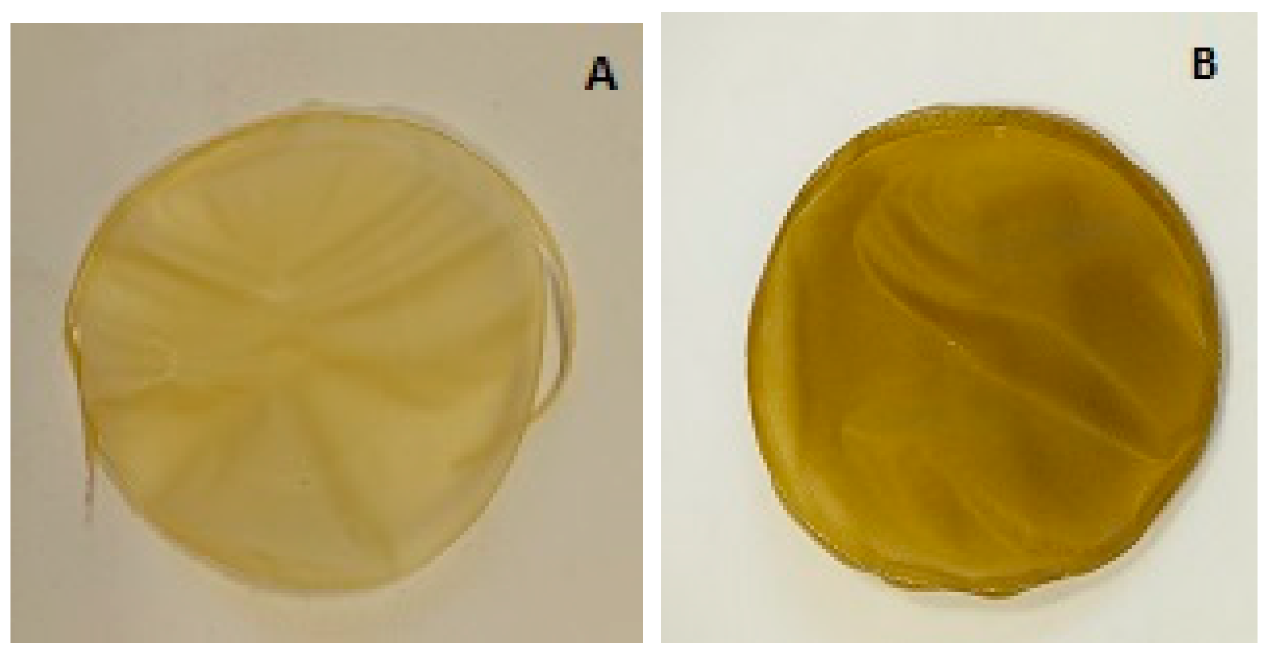 Applsci 15 06691 g005