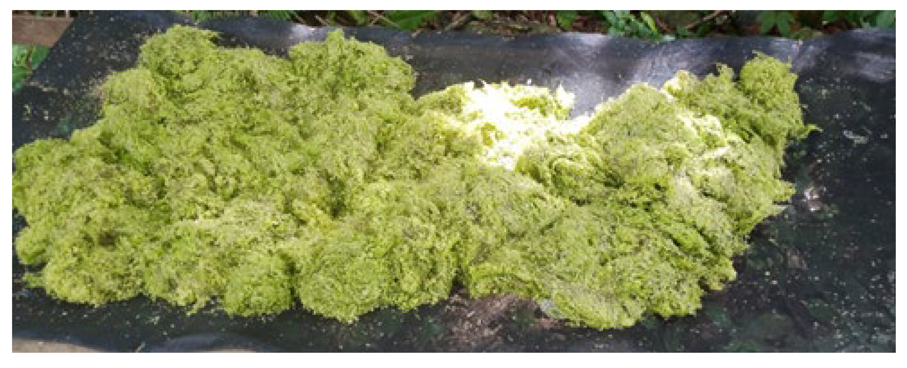 Applsci 15 06732 g009