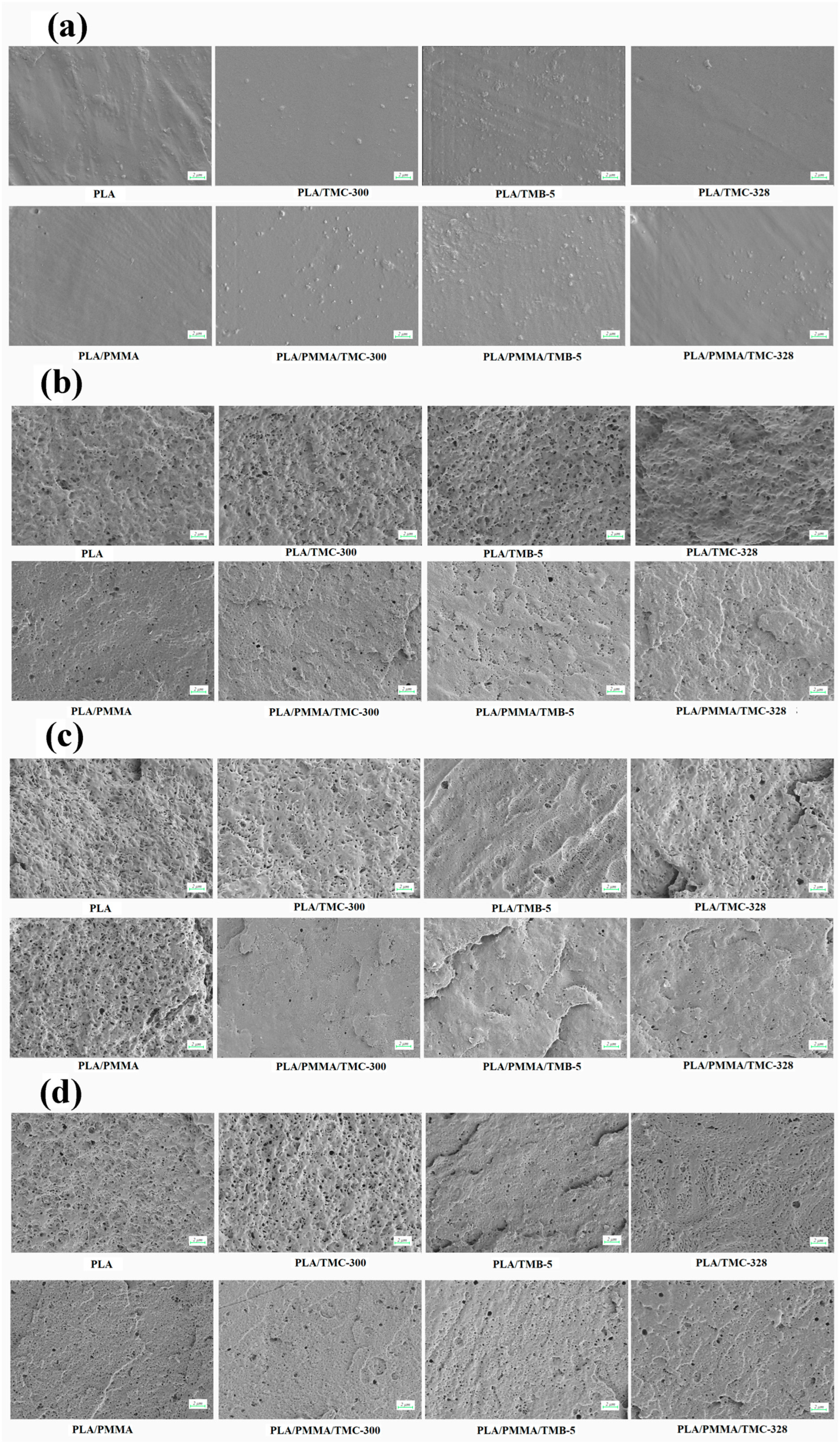 Applsci 15 06738 g006