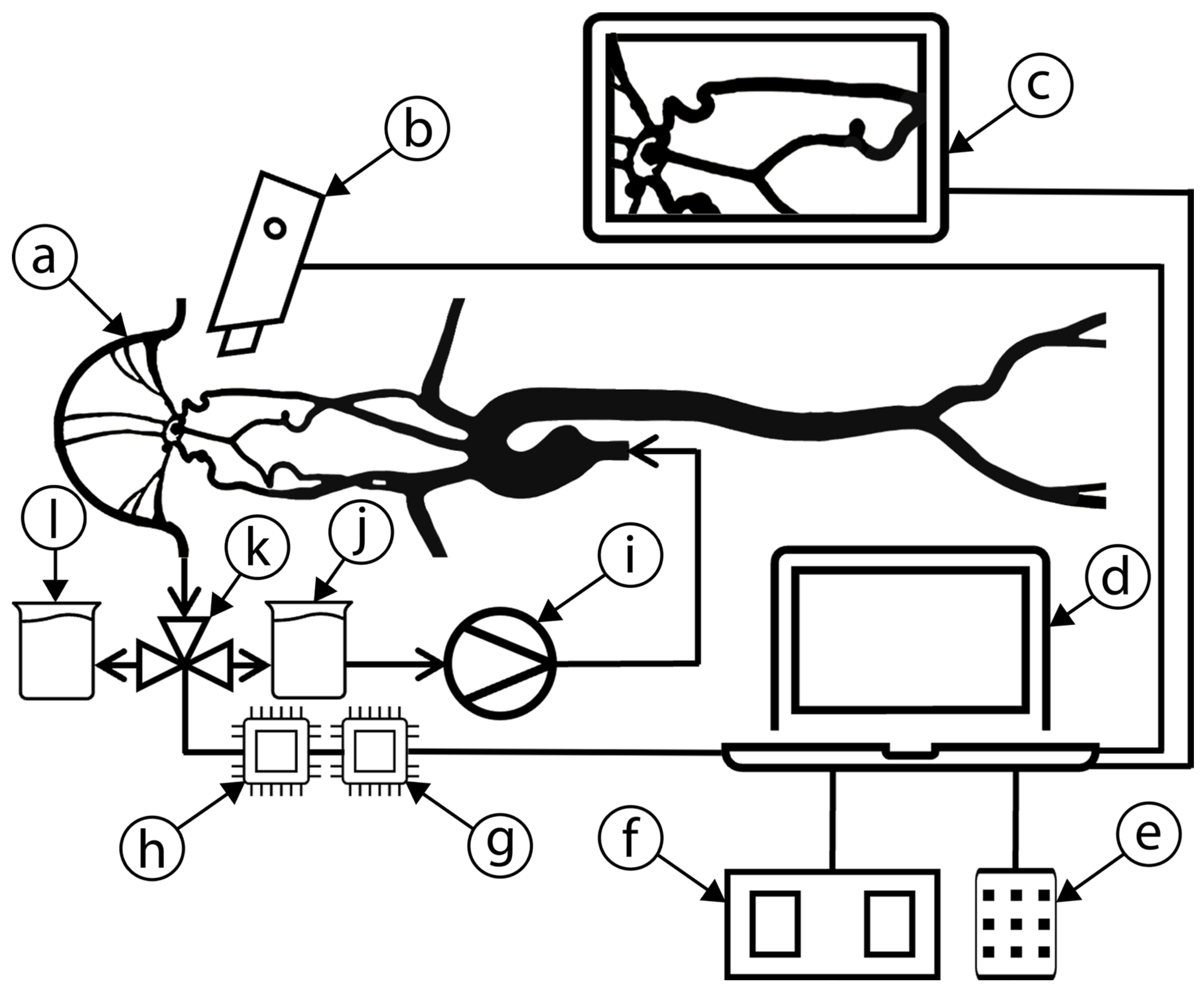 Applsci 15 06744 g001