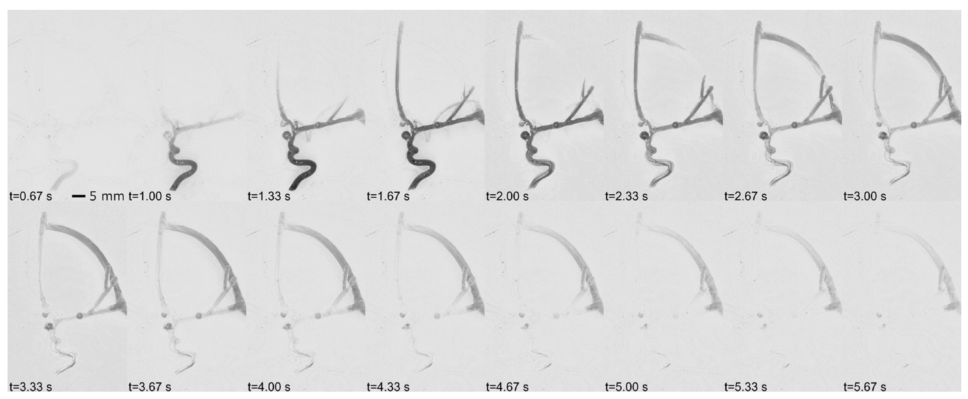 Applsci 15 06744 g004