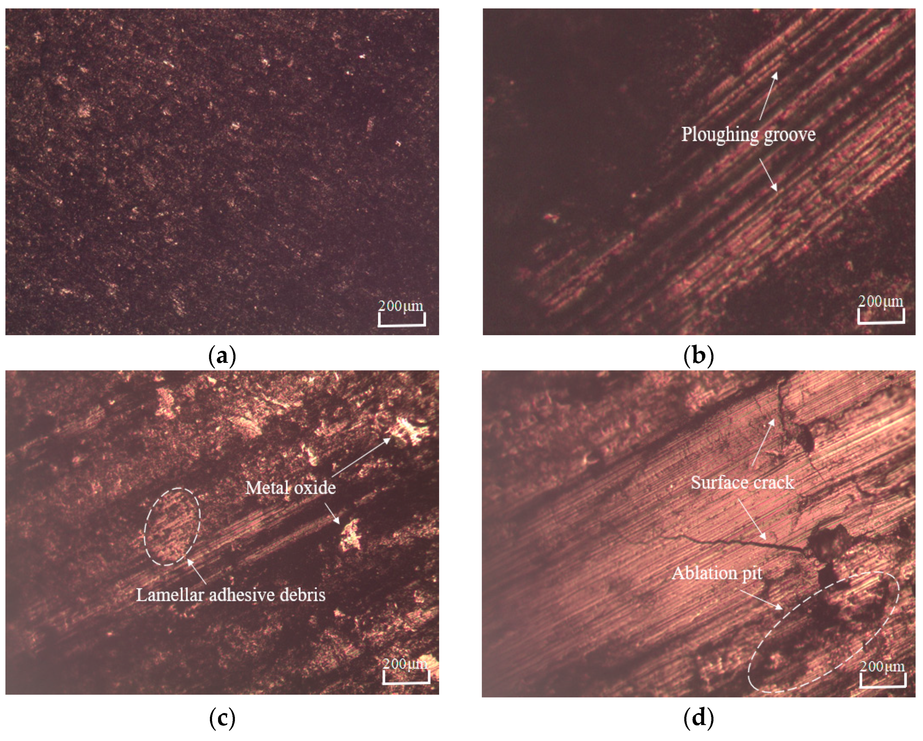 Applsci 15 06748 g009