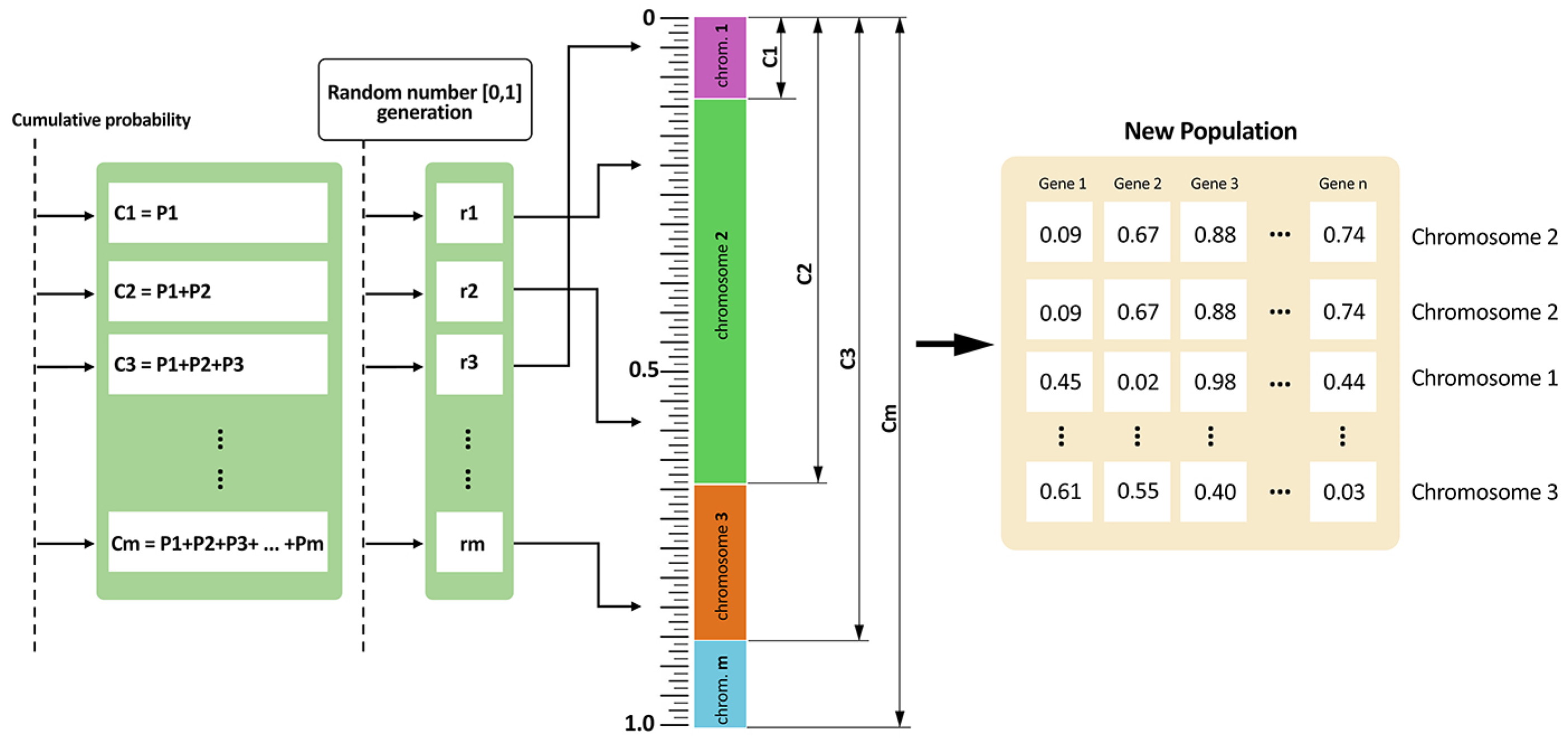 Applsci 15 06750 g008