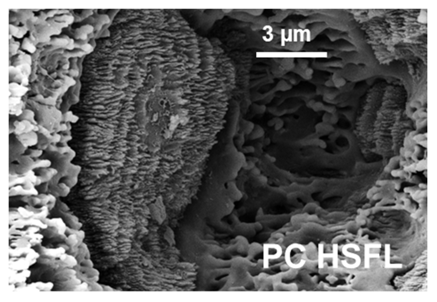 Applsci 15 06754 g003